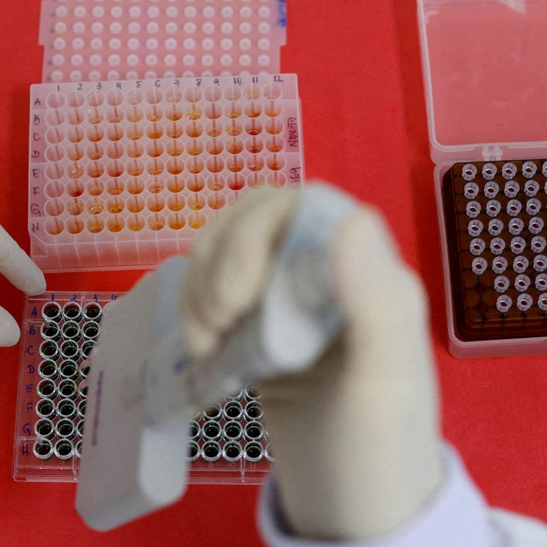 México reporta muerte por gripe aviar