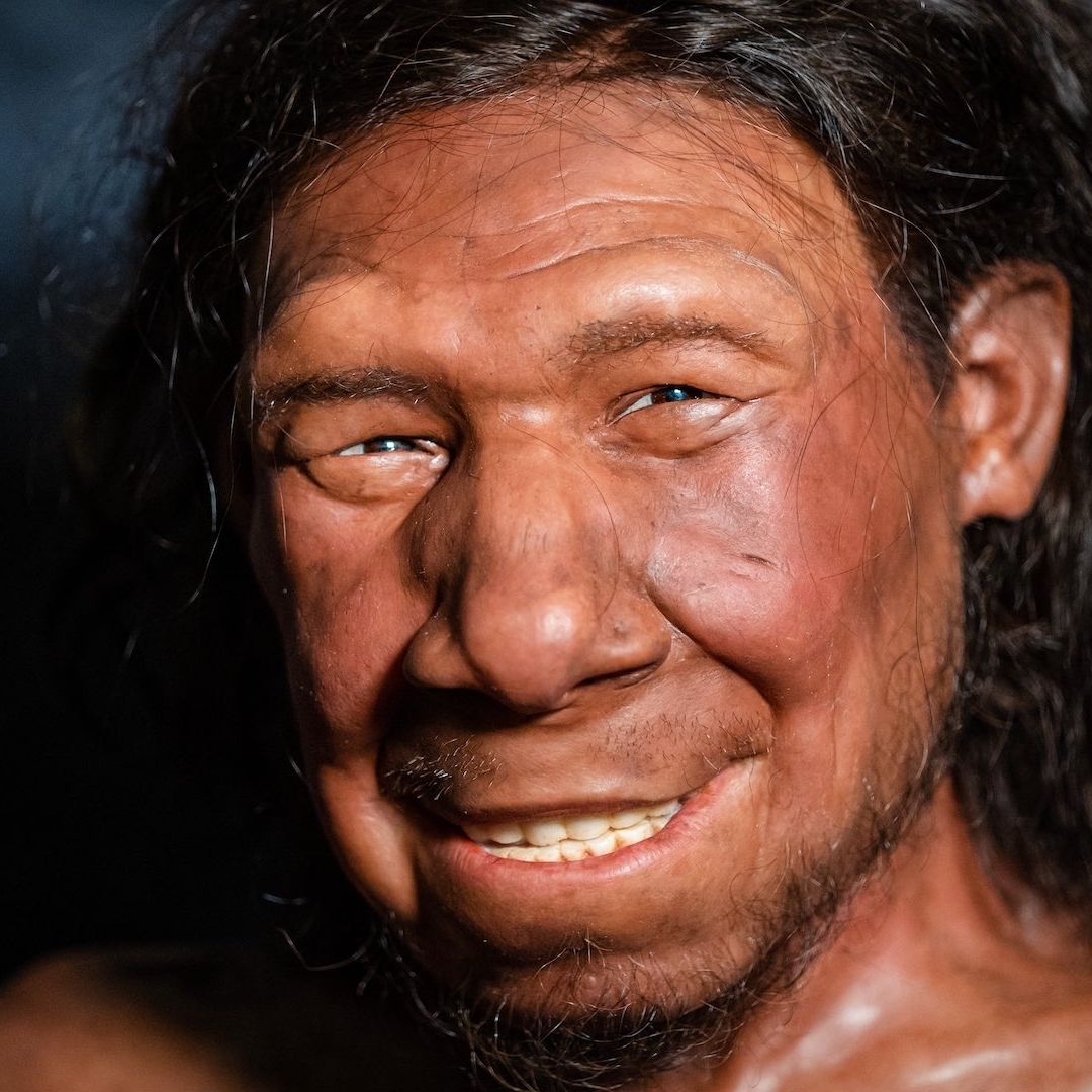 Estudian campo magnético para datar fogata hecha por los neandertales
