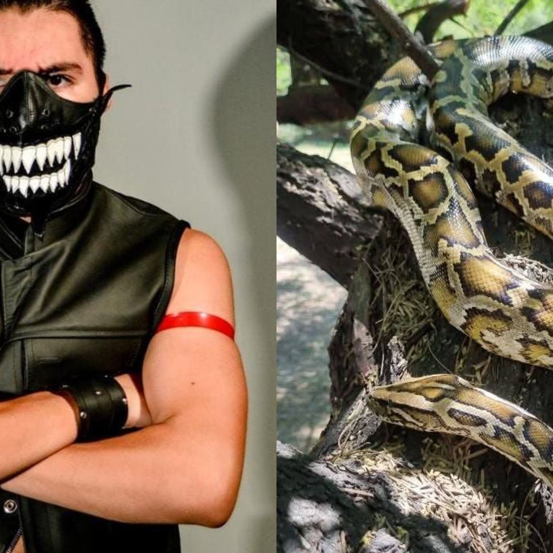 Luchador Engendro Mx y su serpiente Morlok