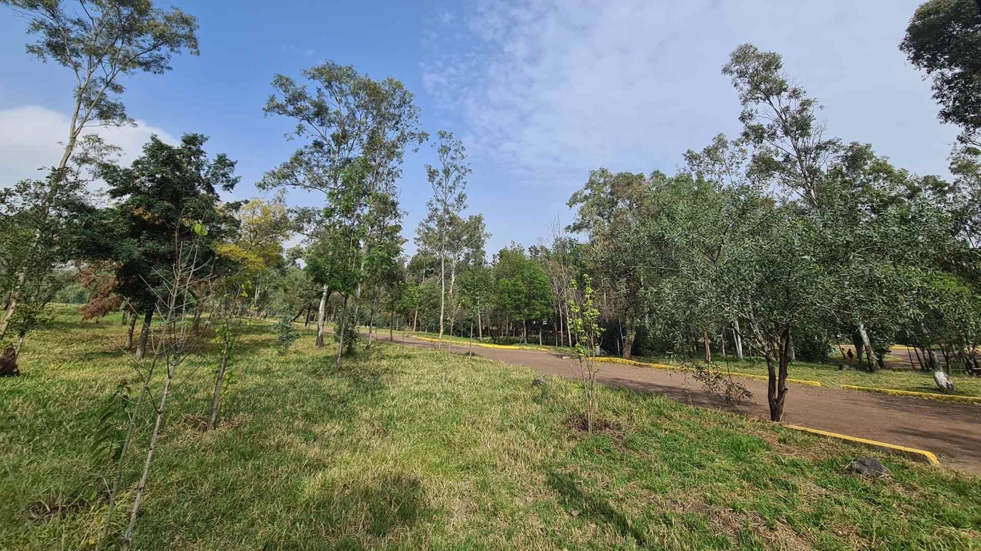 Bosque de Nativitas, uno de los Pulmones de la CDMX Se Encuentra en el Abandono