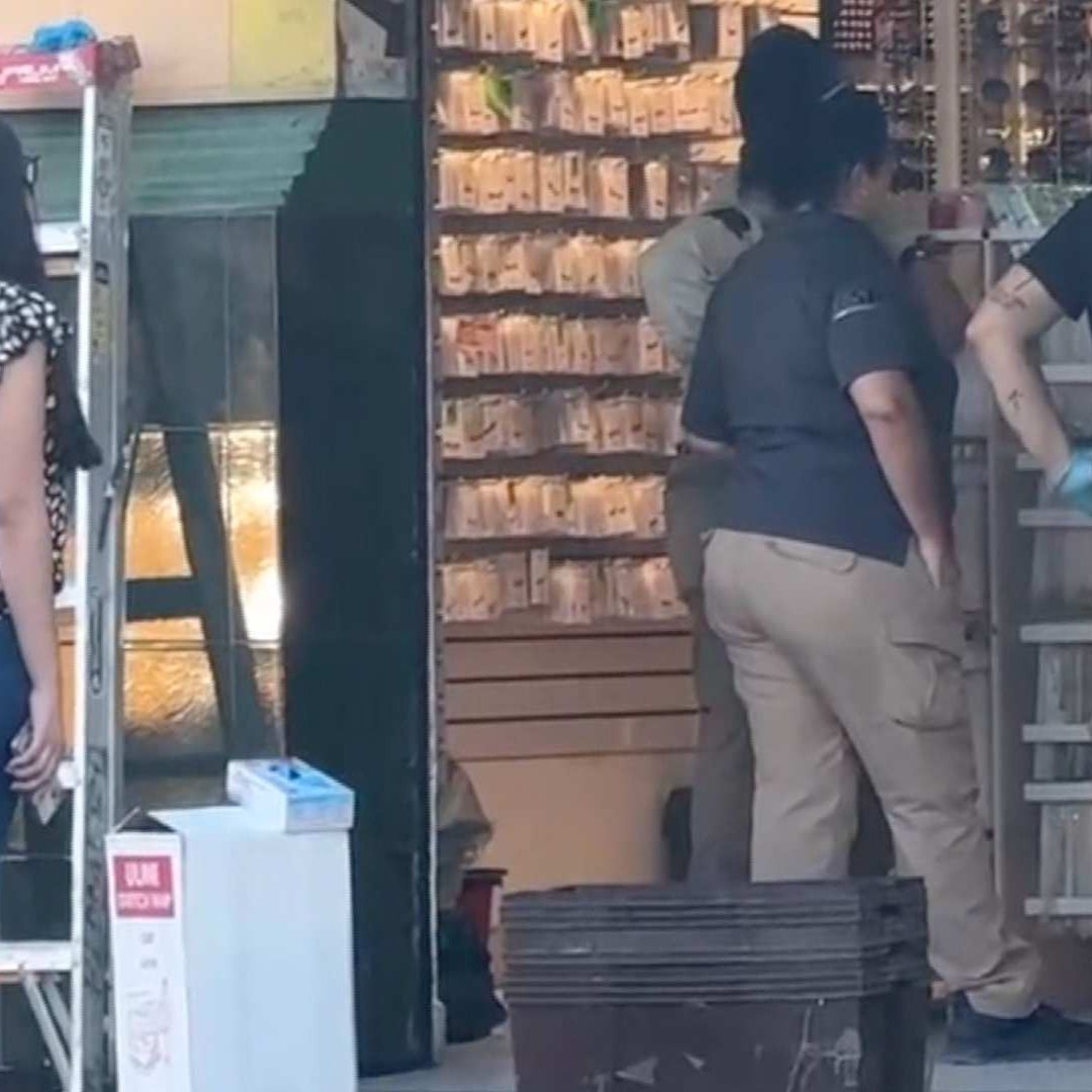 Catean Locales en el Centro de Monterrey por Presunta Piratería