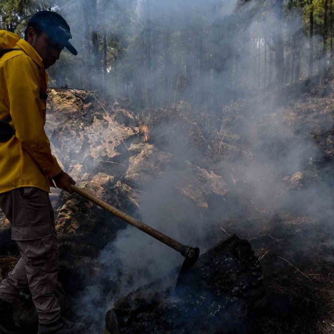 Combaten incendio en reserva natural en Colima