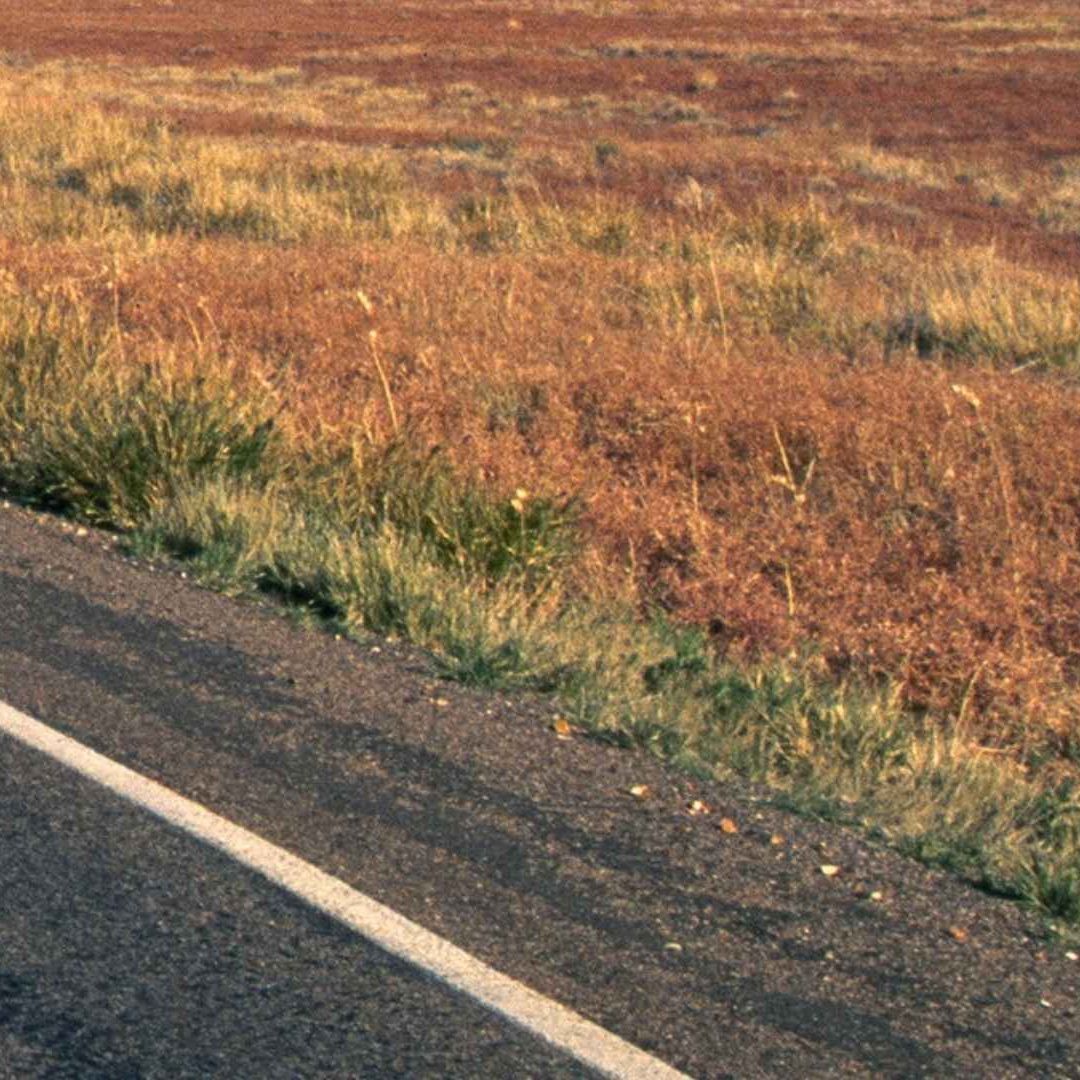 Hallan Restos Humanos Junto a Fusiles de Asalto en la Carretera Aldama a Ojinaga en Chihuahua