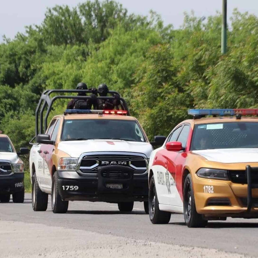 Detienen a Hombre en Tamaulipas por Trasladar Aves Silvestres Protegidas