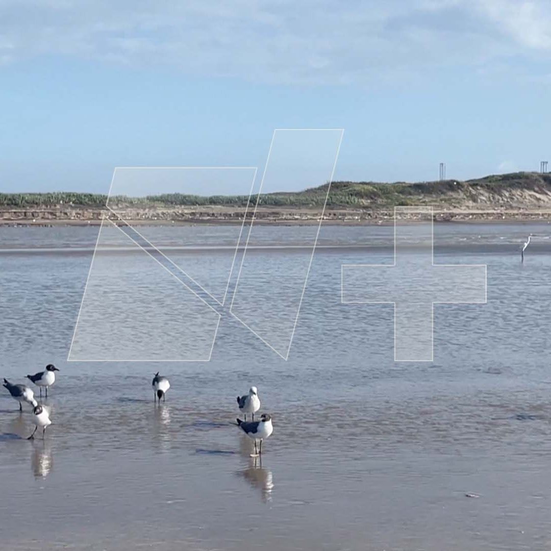 Ambientalistas Localizan Fragmentos de Explosión de SpaceX en Aguas del Río Bravo