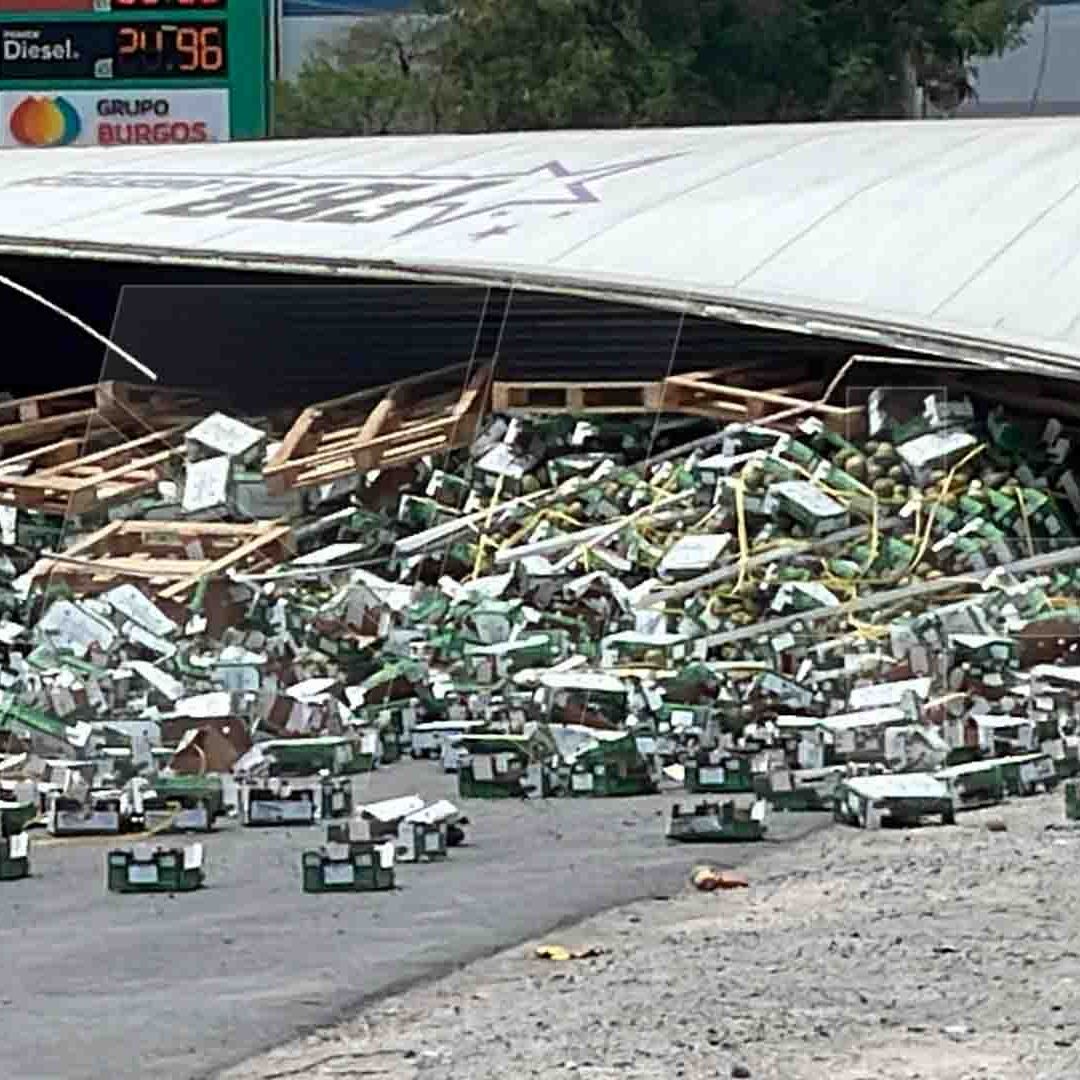 Realizan Actos de Rapiña Luego de Volcadura de Tractocamión Cargado con Mangos