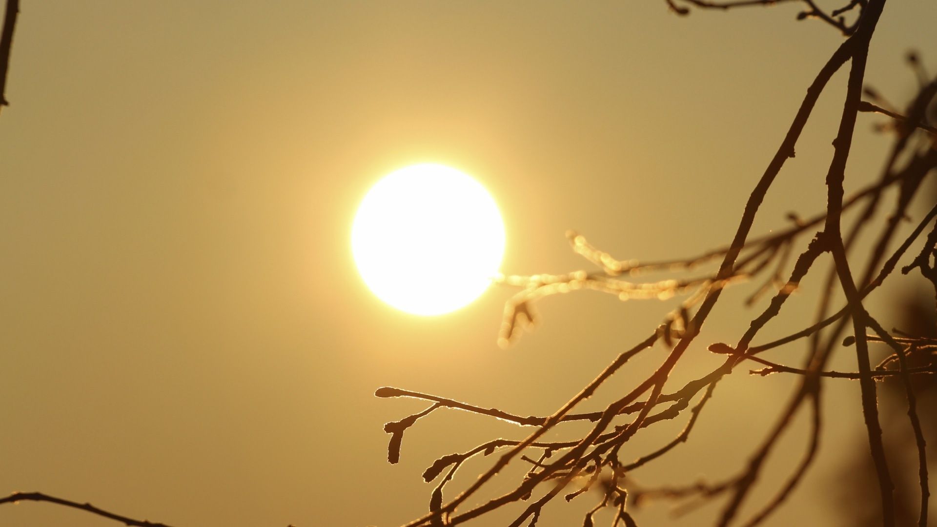 ¡Calor Se Pondrá Peor! OMM Prevé que se Rompa Récord de Temperatura de 2023