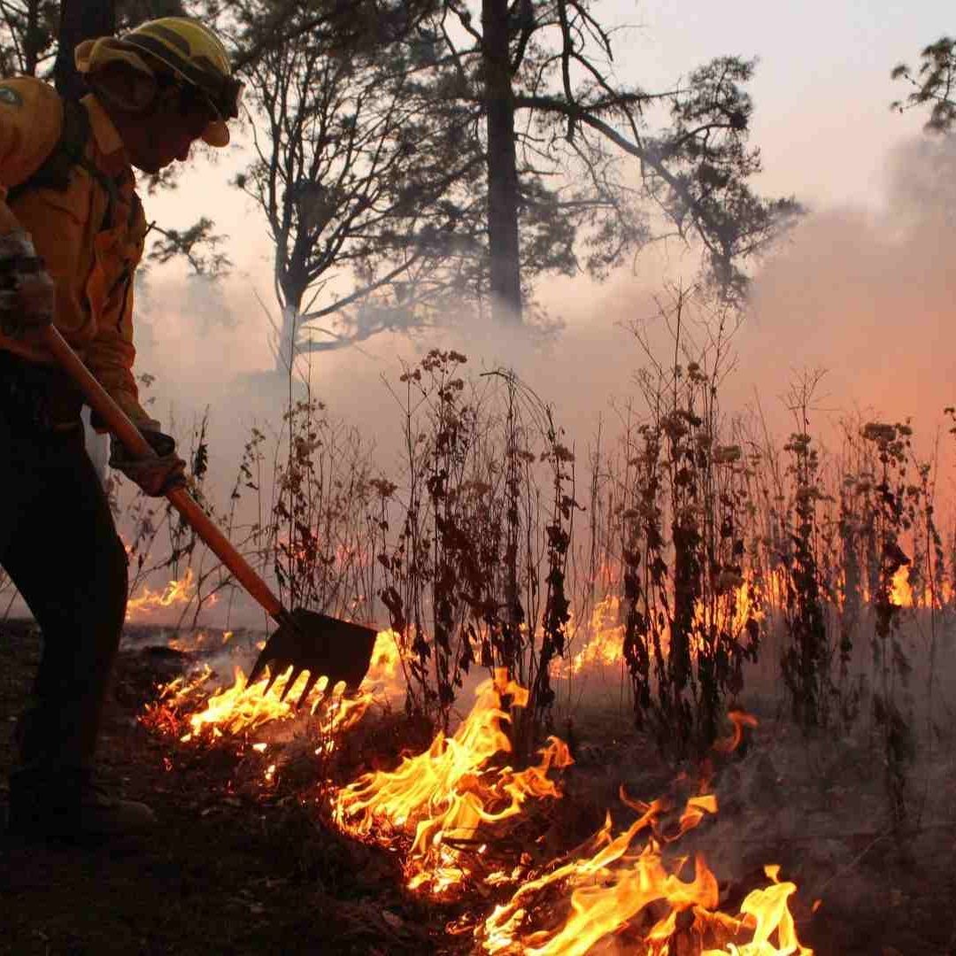 Cada 2 horas un incendio es provocado en México