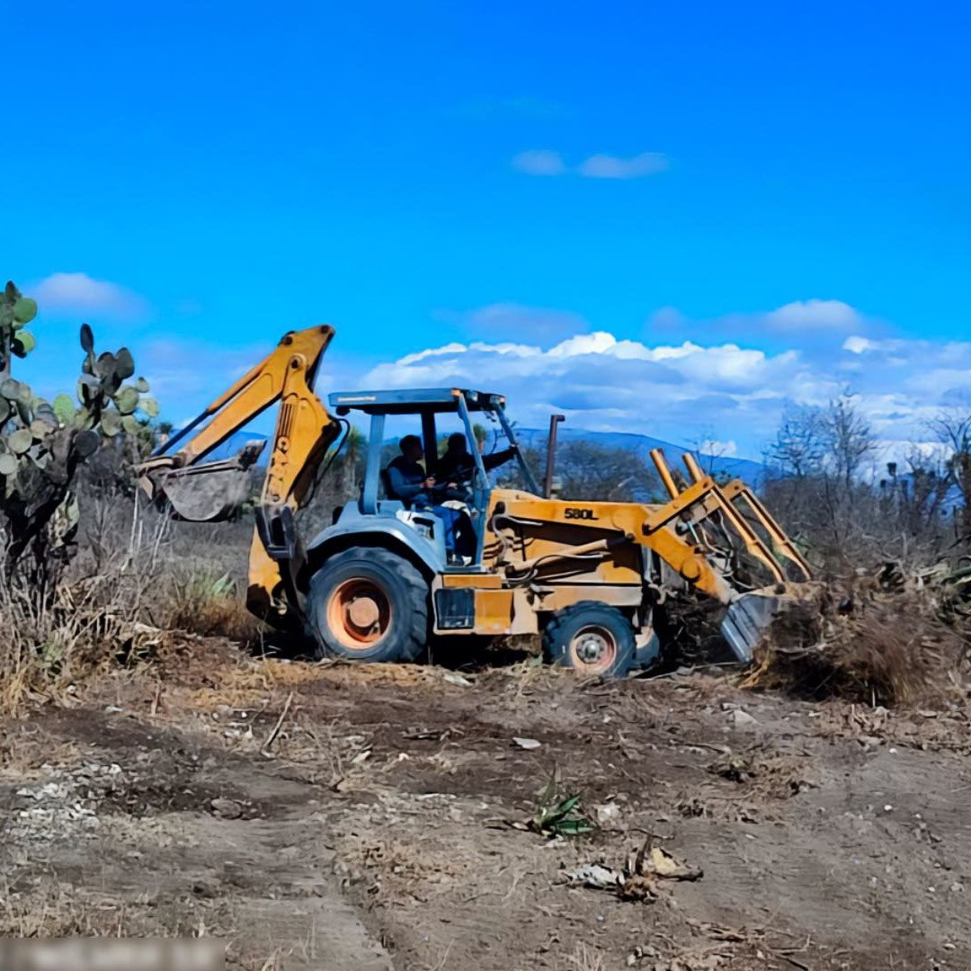 Sentenciados a Prisión por Daño a La Meseta Reserva de la Biosfera Tehuacán-Cuicatlán en Puebla