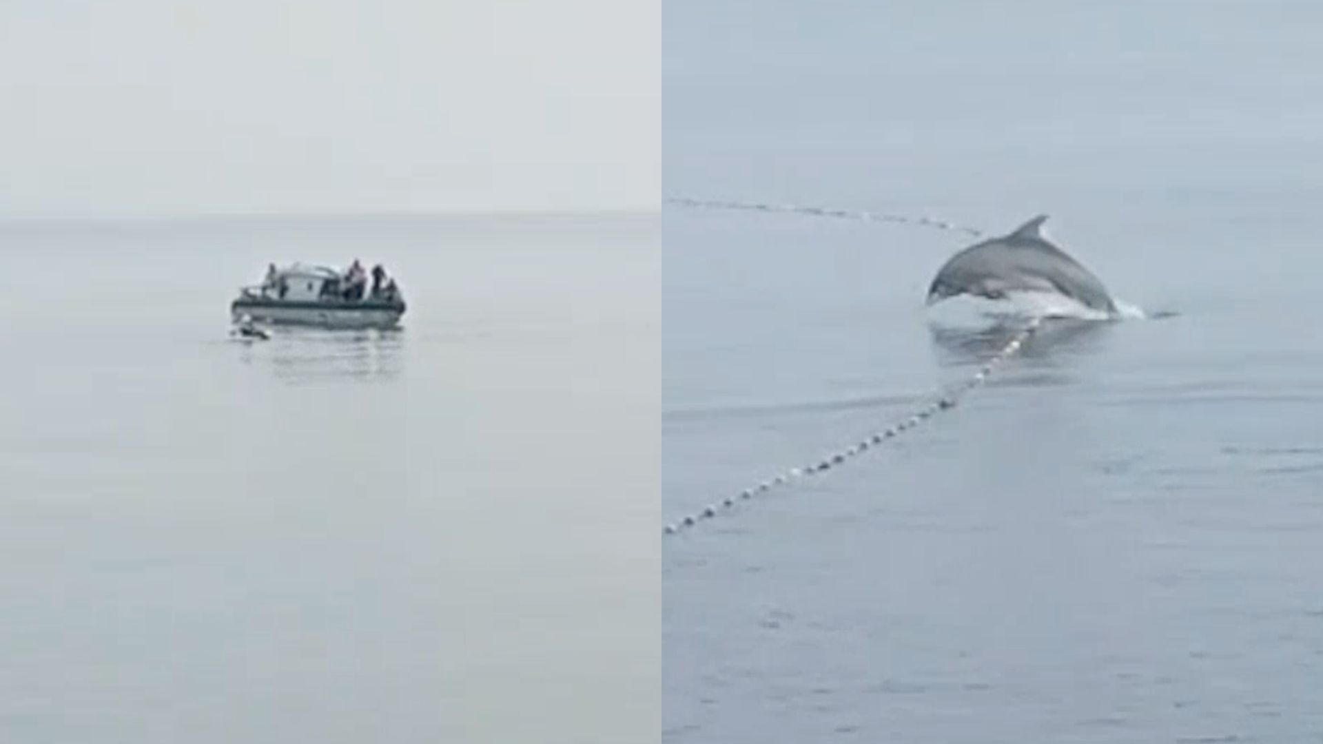 La instalación de redes de pesca en zonas no permitidas, los cuales representan un serio peligro para diversas especies marinas.