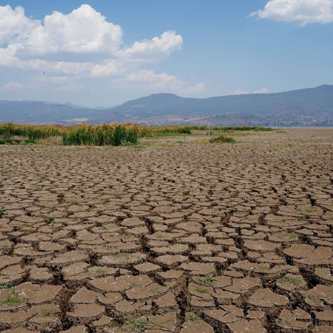 Sequía en México, Aumenta desde Enero y Afecta Precio de Alimentos