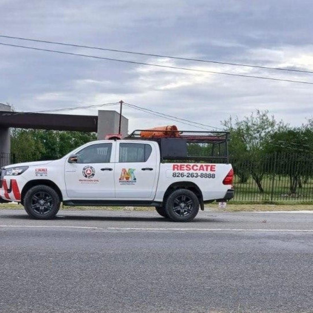 Oso atropellado en Carretera Nacional en Nuevo León