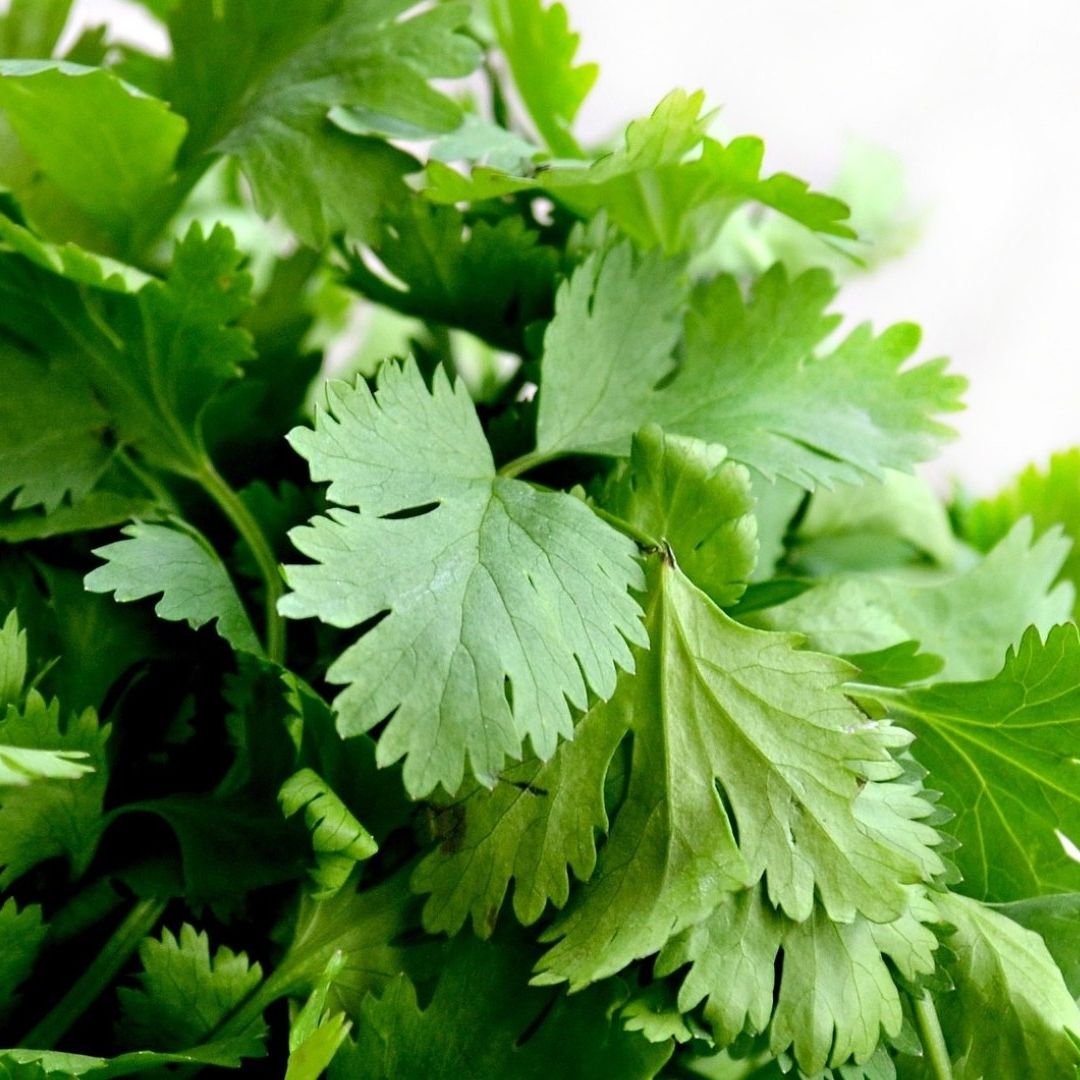 Podcast | Precio del Cilantro, Terapias de Conversión y Separación de Shakira