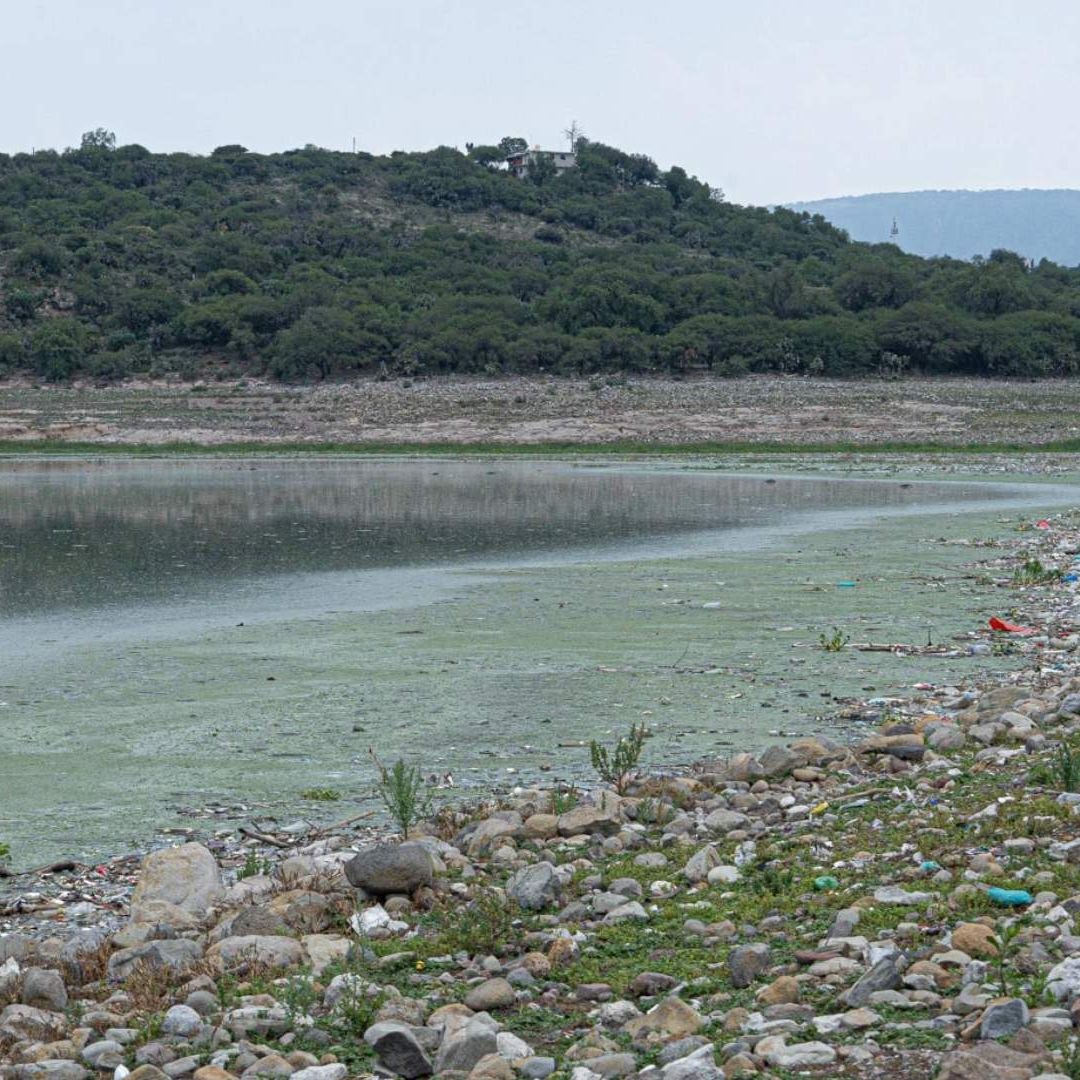 Zona de Presa Endhó en Hidalgo se Convertirá en Área de Restauración Ecológica
