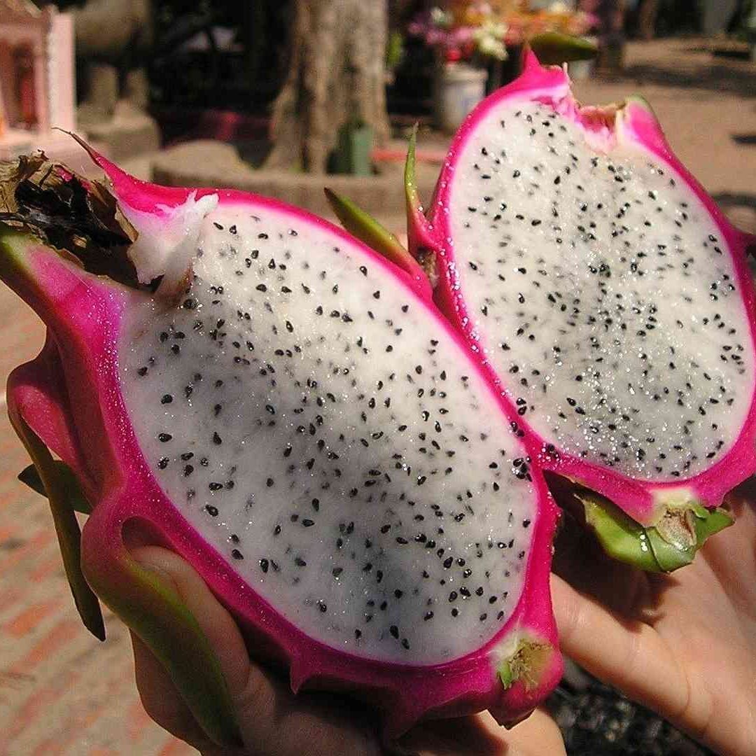 Hay varias frutas mexicanas poco conocidas por los niños.