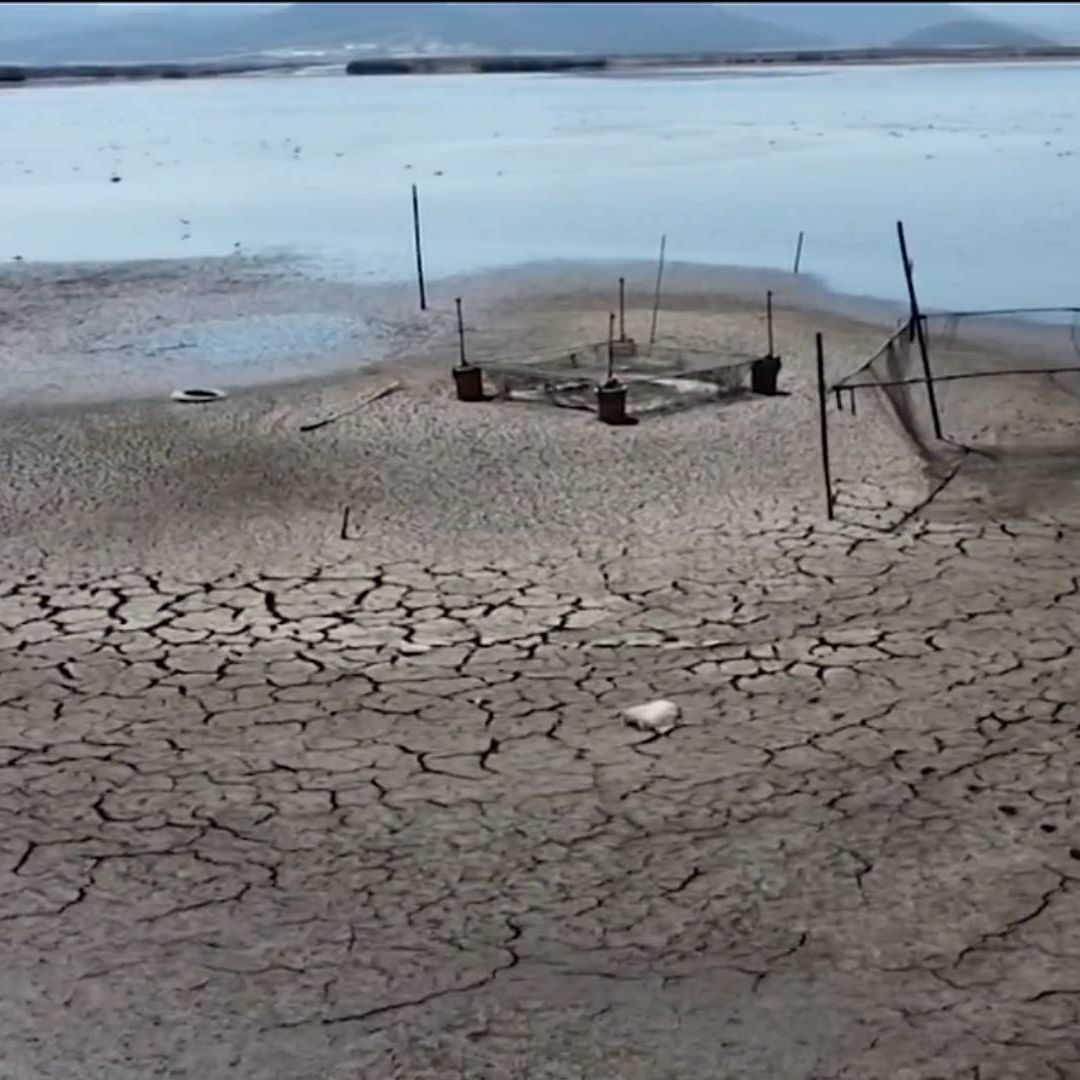 Sequía Devasta Laguna de Tecocomulco, Hidalgo, y Afecta el Turismo