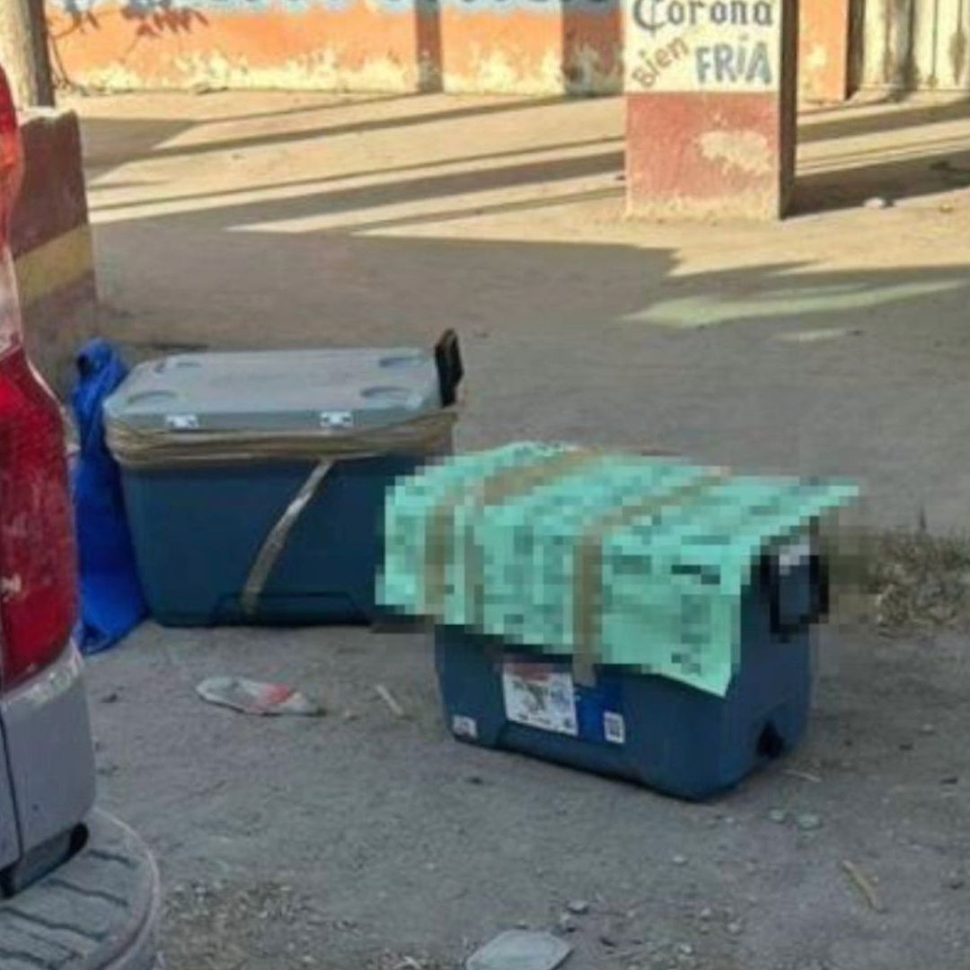 restos humanos en hieleras en slp