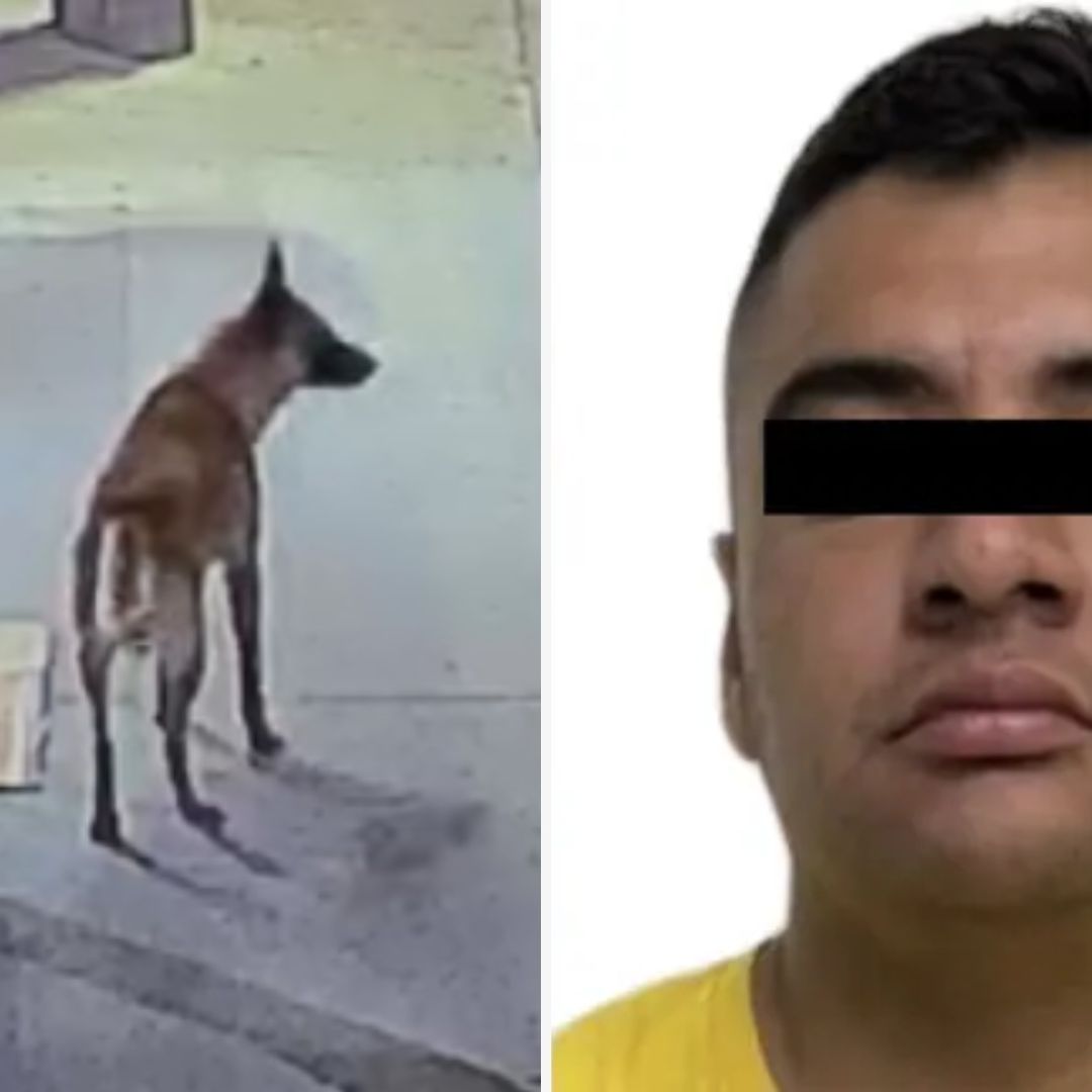 Vinculan a Proceso a Policía de Edomex que Mató a Perrito en Ecatepec