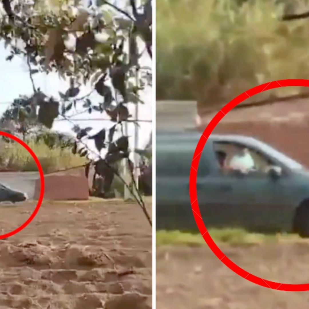Hombres en Camioneta Intentan Secuestrar a Mujer en Puebla. Foto: Cristóbal Lobato | N+