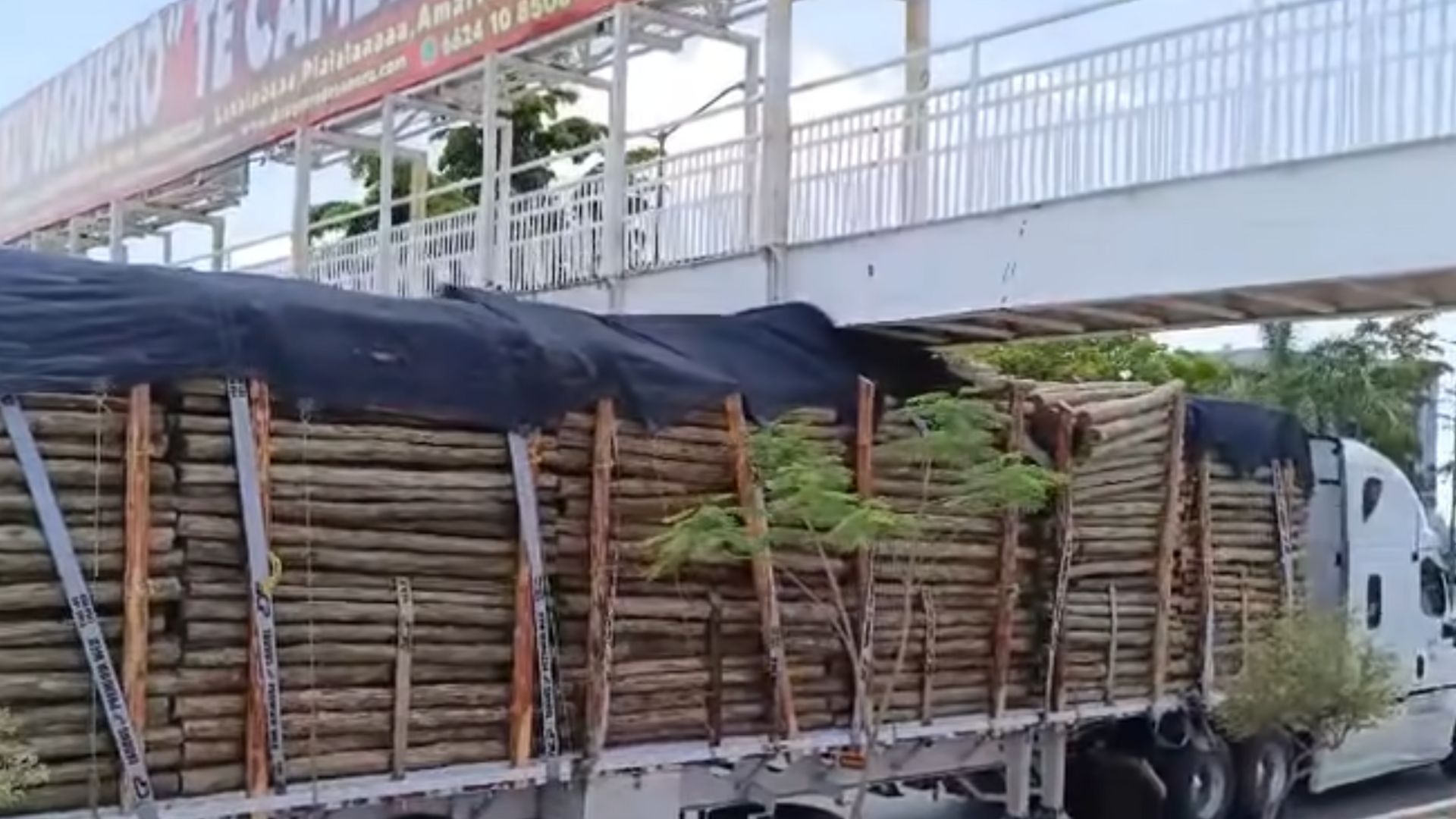 Tráiler se Quedó Atorado en Puente Peatonal en Luis Encinas y De Las Américas en Hermosillo