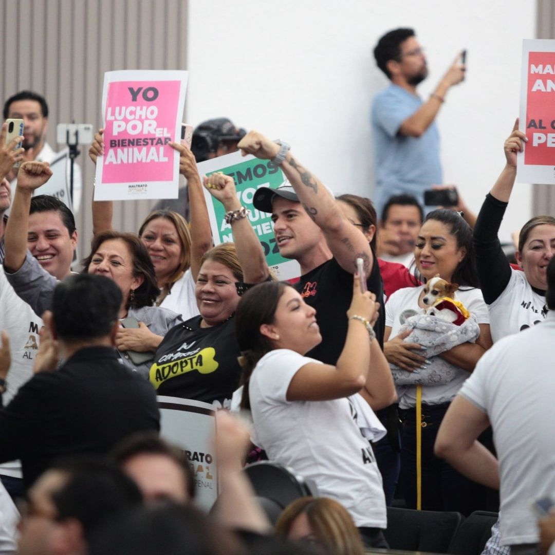 Congreso de Chiapas Tipifica como Delito Penal el Maltrato Animal