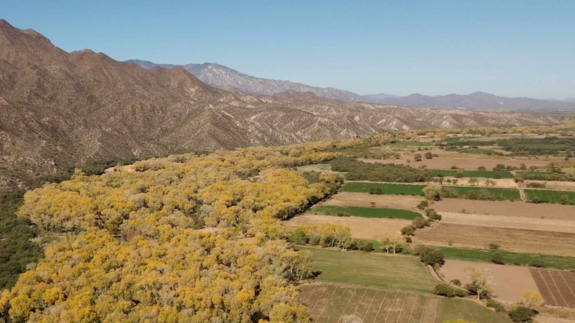 Encuentran a 3 Personas Sin Vida Dentro de Procesadora Minera en Baviácora