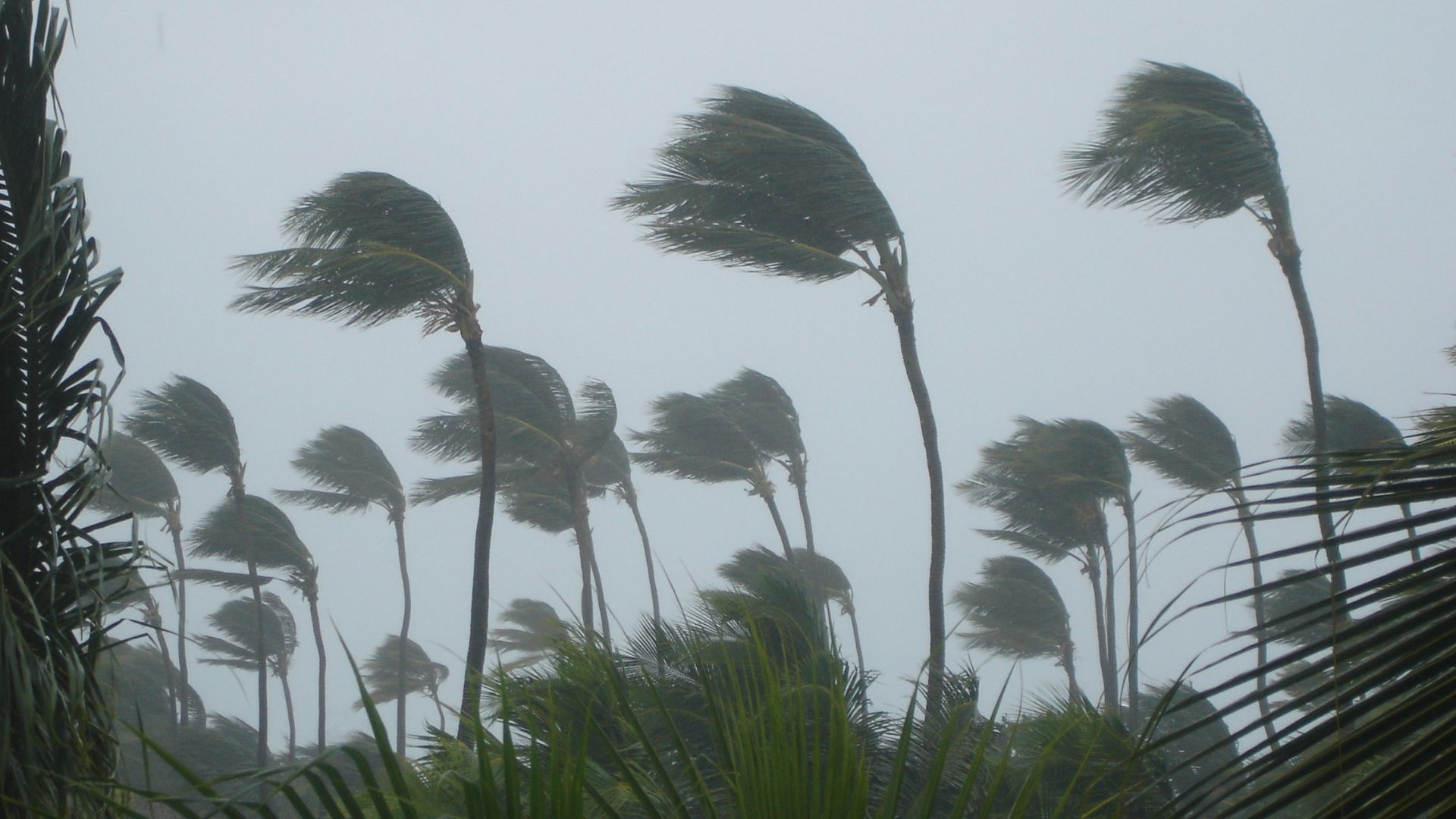 tormenta tropical Alberto 2024