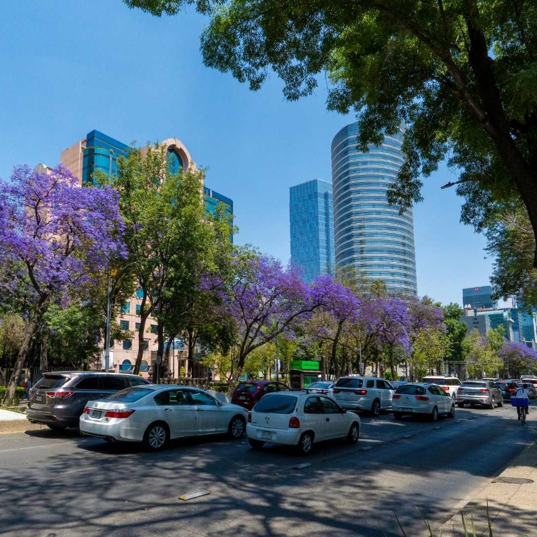 Hoy No Circula viernes 21 de junio 2024, así aplica en CDMX y Edomex