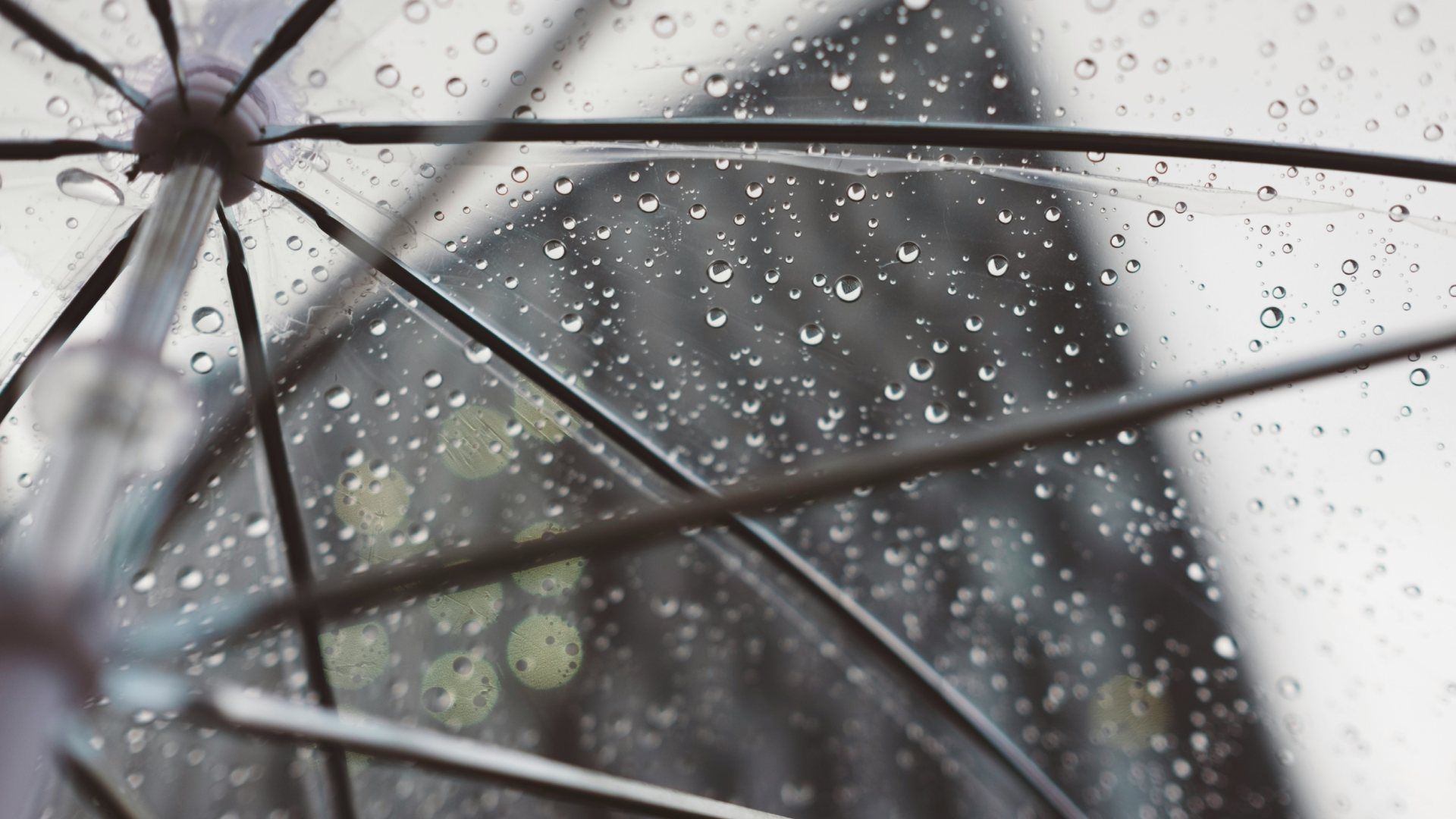 Paraguas con lluvias