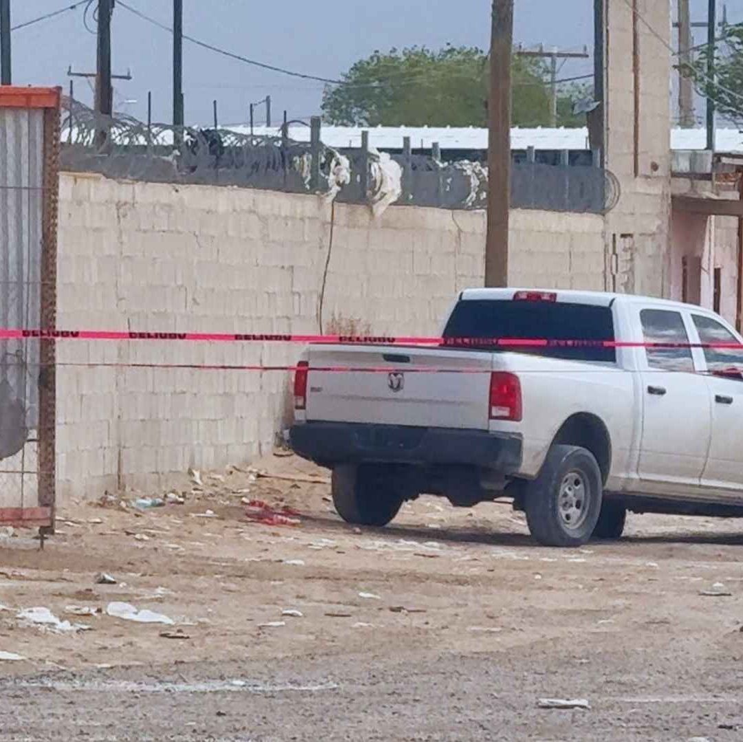 La Cifra de Cuerpos Embalsamados Encontrados en Juárez Asciende a 381 Foto: N+