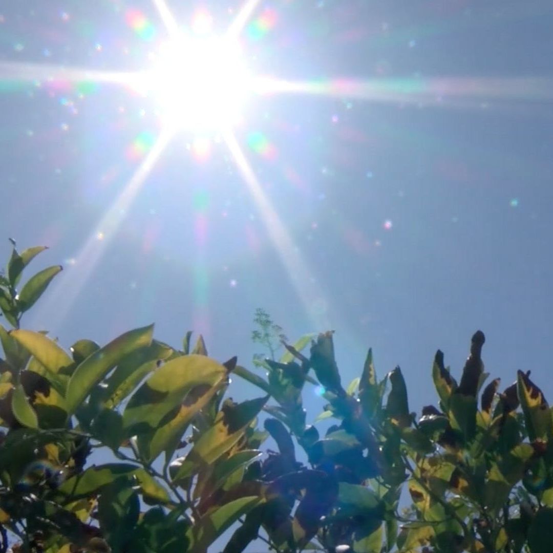 Registran Primera Muerte por Golpe de Calor en Mexicali en 2025