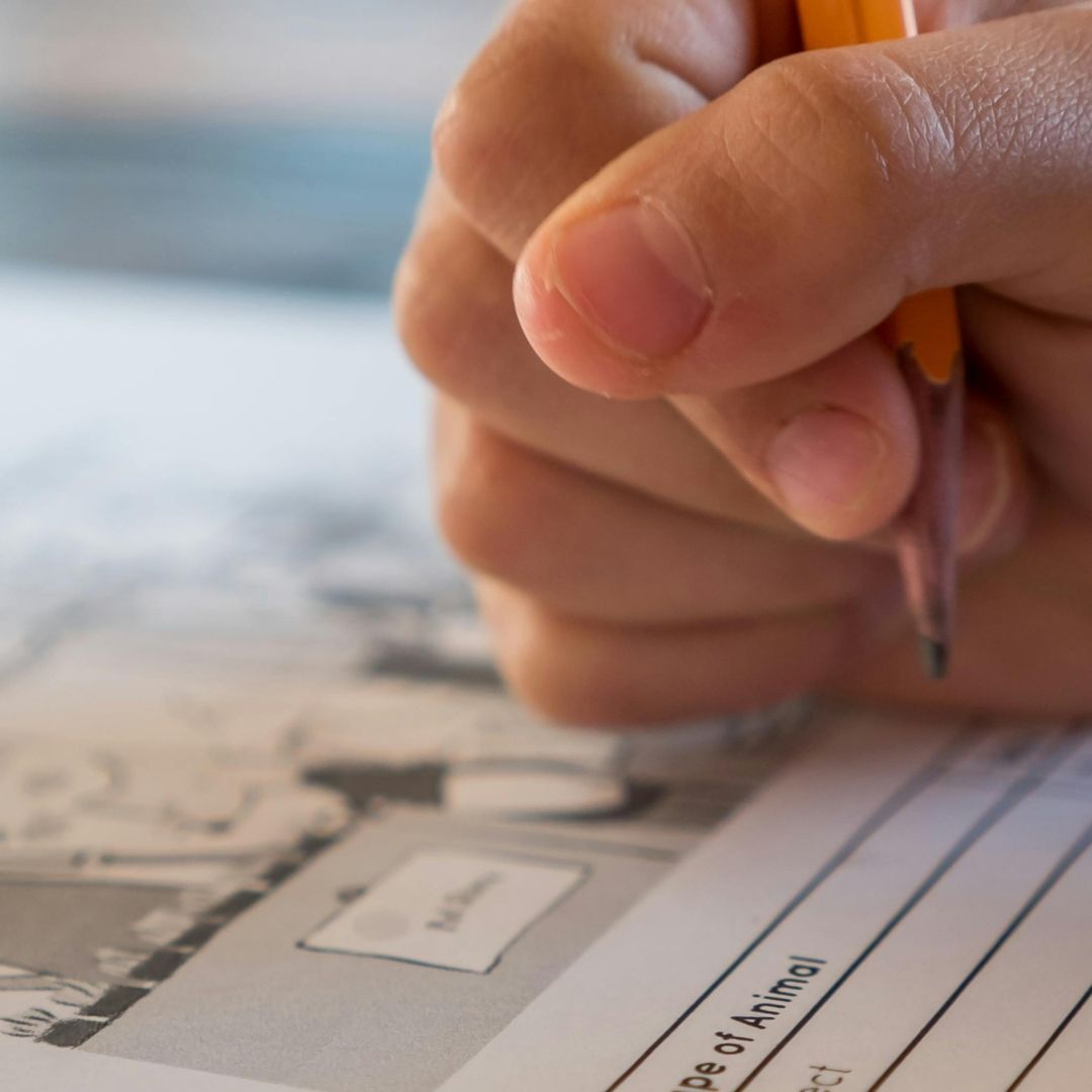 ¿Qué Lápiz se Usa para el Examen COMIPEMS 2024? Este es el Correcto