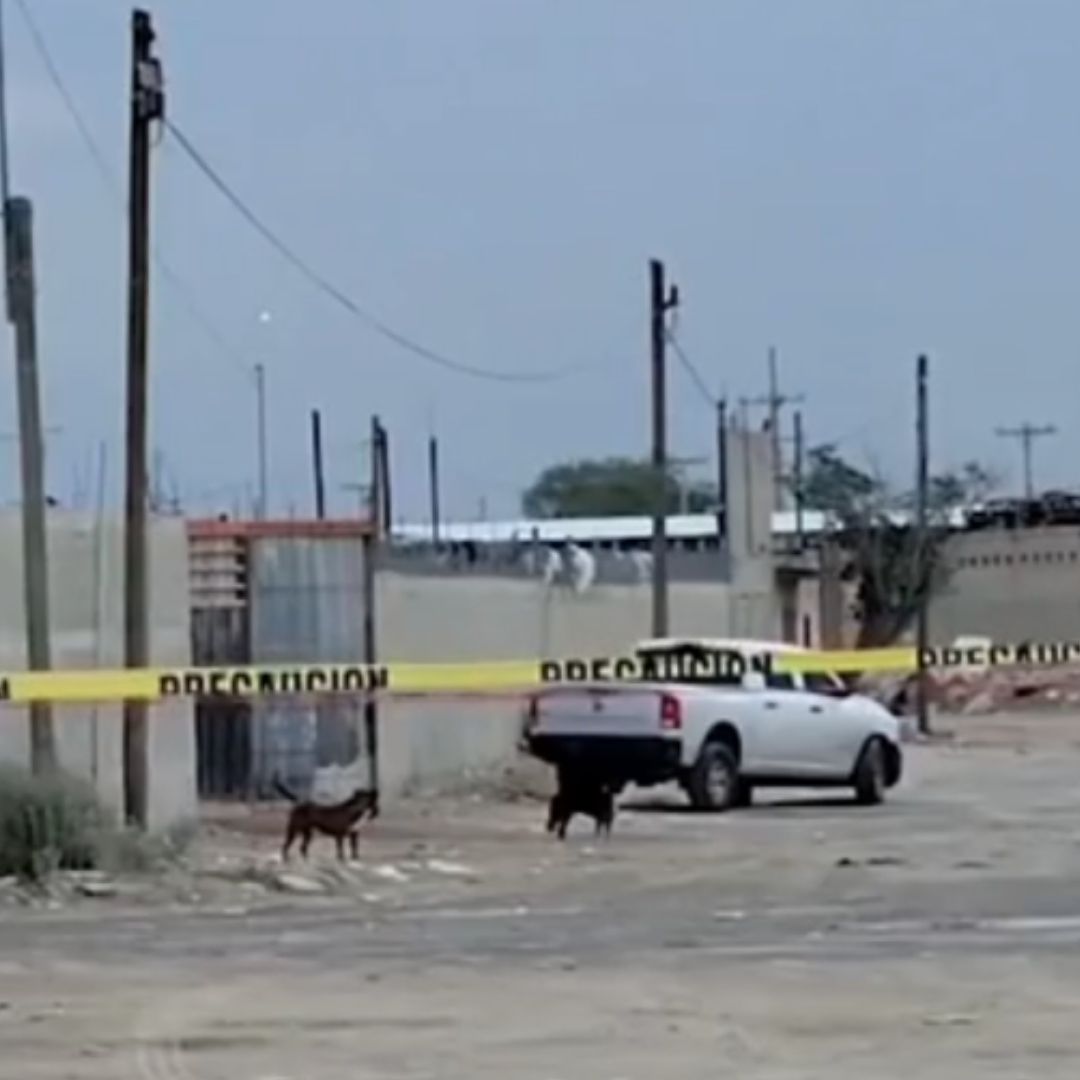 Crematorio en Ciudad Juárez: 5 Claves del Hallazgo de 381 Cuerpos Abandonados en Chihuahua