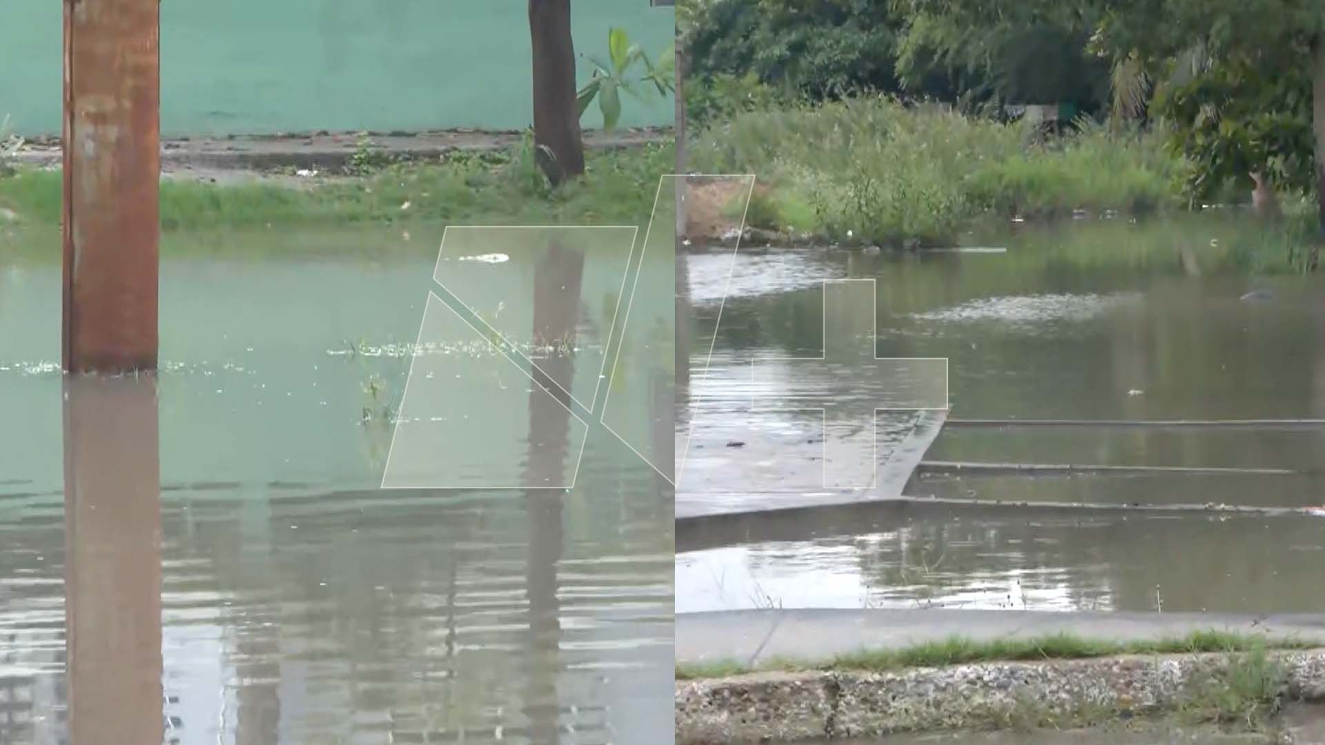 Reportan Inundaciones y Presencia de Cocodrilos en 'La Borreguera', Tampico tras Paso de Barry