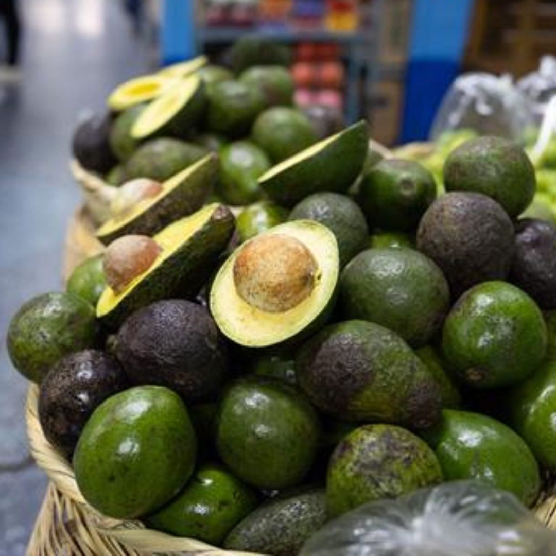 Los inspectores estadounidenses trabajan en México para garantizar que los aguacates exportados no sean portadores de enfermedades