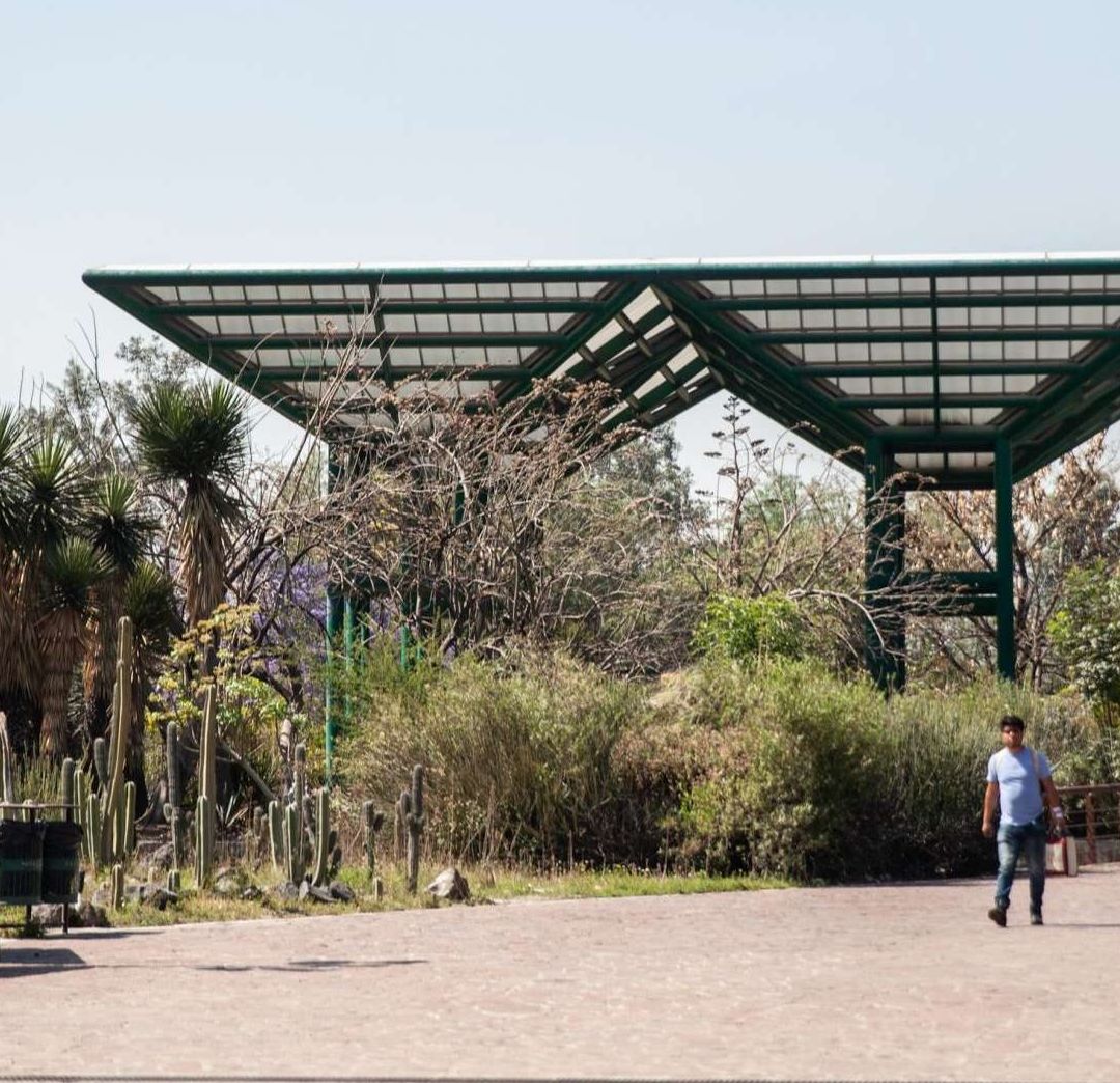 Parque Bicentenario Reabre sus Puertas Tras Investigación de Muerte de Periodistas en Festival