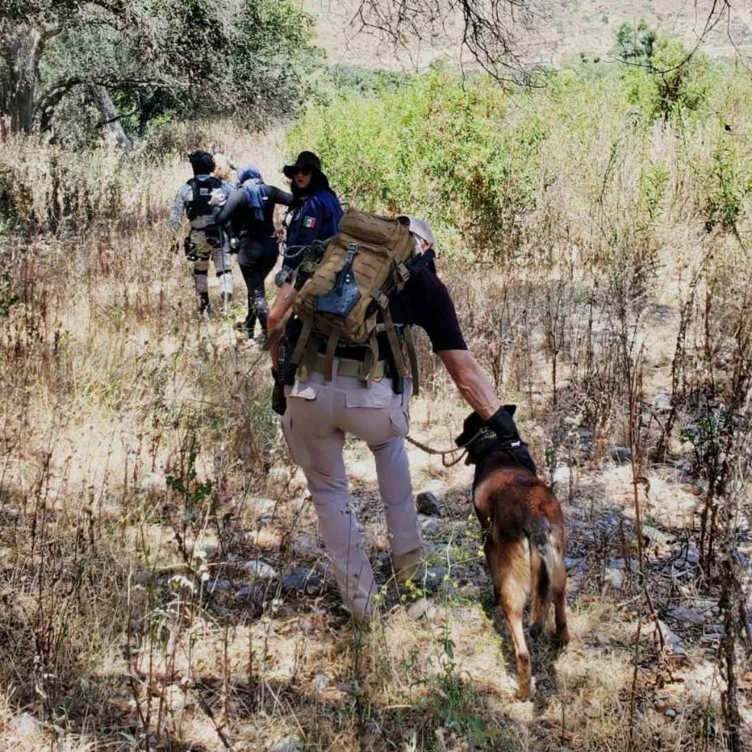Rescatan a Migrante Abandonado y Encuentran Restos Óseos en Carretera Tijuana – Mexicali