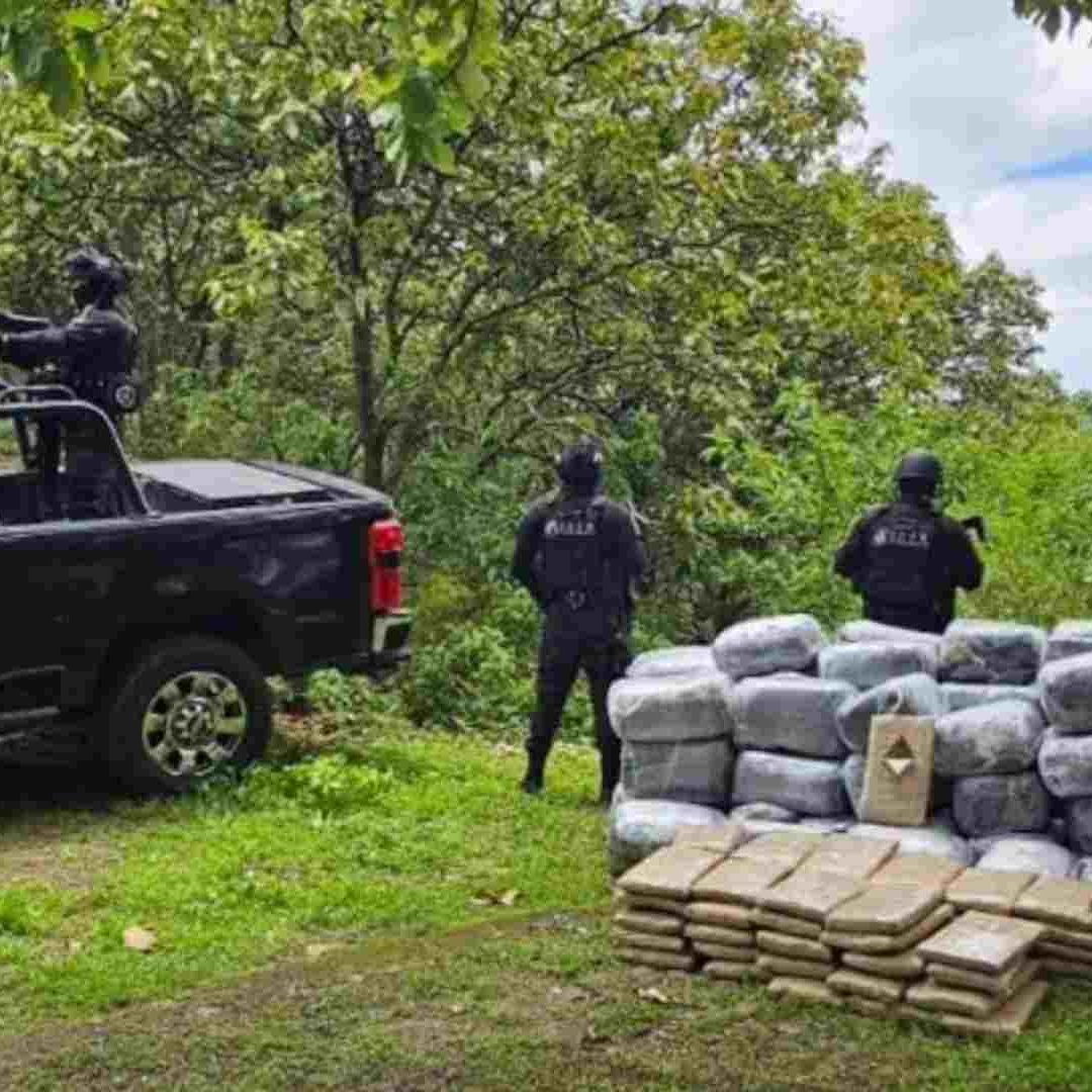 La droga fue puesta a disposición del agente del Ministerio Público
