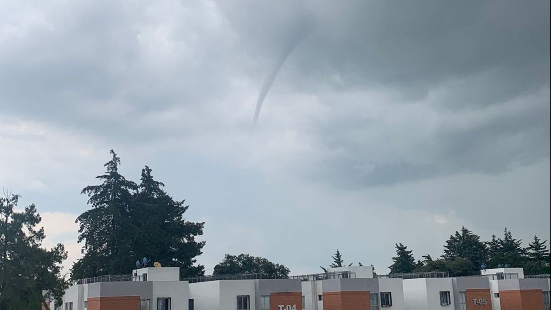 Fotos Serpiente de Agua Culebra de Lluvia Puebla Hoy 2 Julio 2025