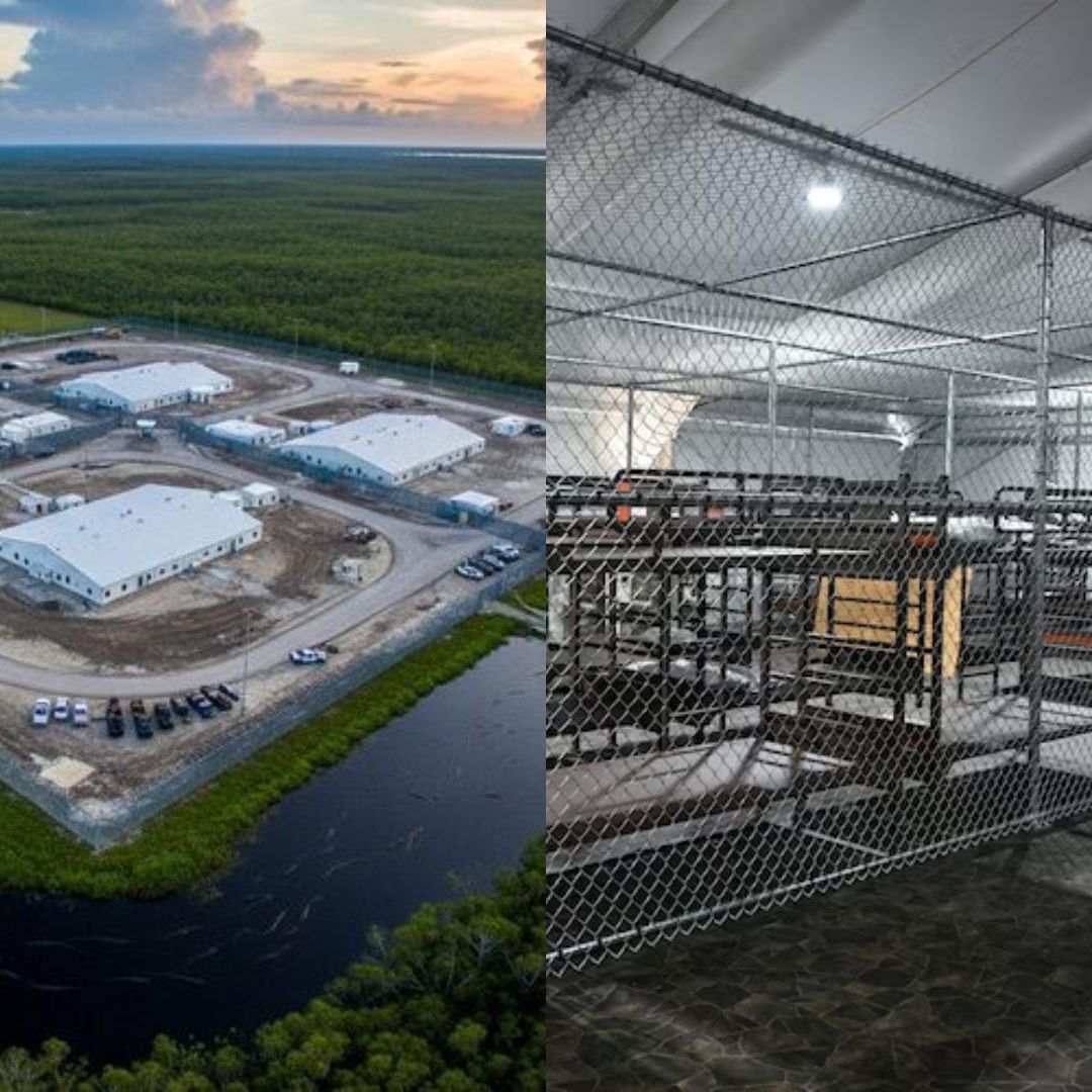 Alligator Alcatraz: Cárcel para Migrantes Custodiada por Caimanes Espera a Primeros Detenidos