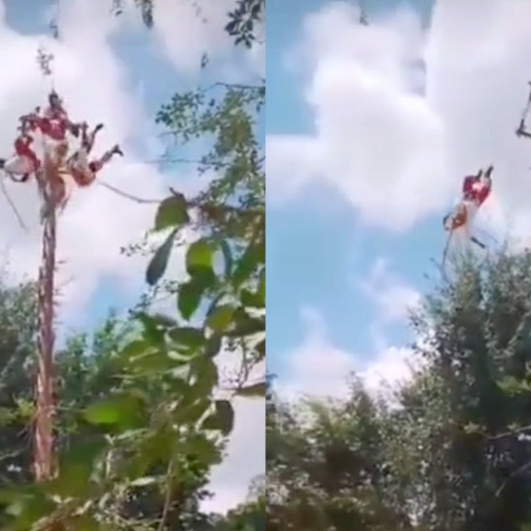 Voladores de Papantla Accidentados Continúan Hospitalizados tras Caer de Palo Ceremonial en Tihuatlán Veracruz