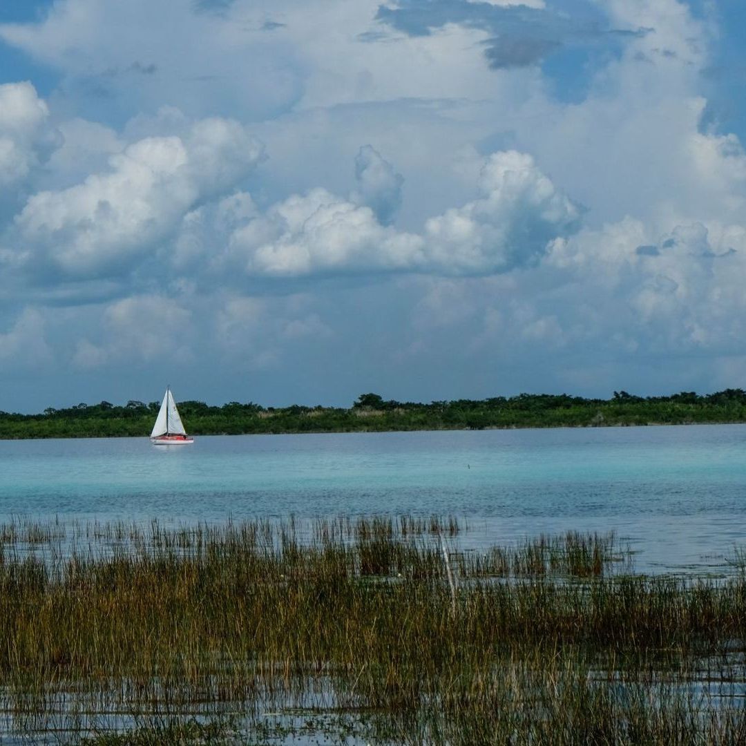 Pobladores de Bacalar, Quintana Roo, Viven Bajo el Asedio del Crimen para Robar sus Tierras [node:field_titulo_editorial]