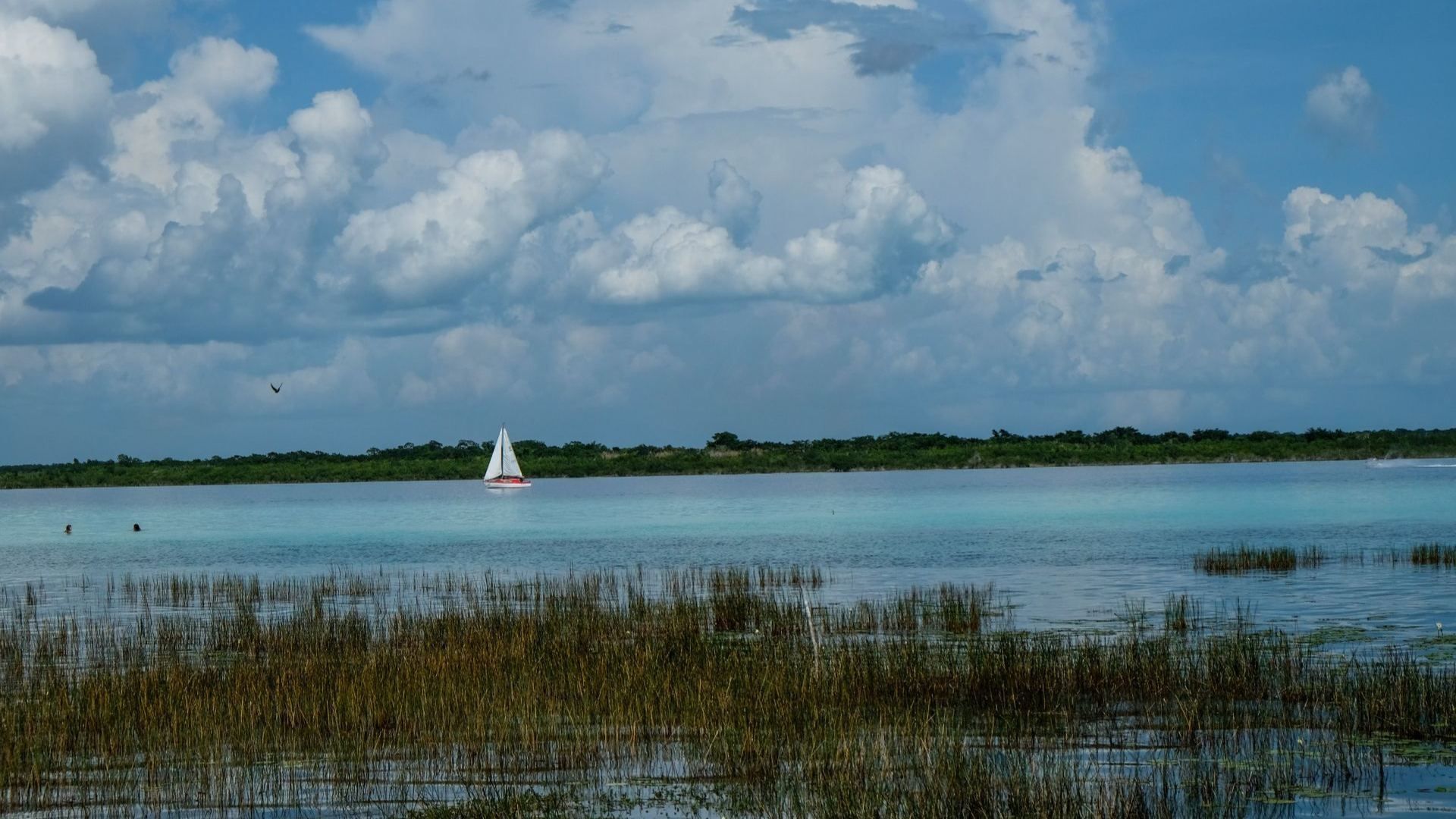 Pobladores de Bacalar, Quintana Roo, Viven Bajo el Asedio del Crimen para Robar sus Tierras [node:field_titulo_editorial]