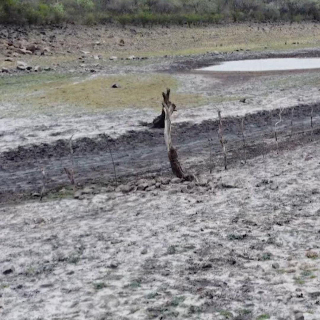 Nuevamente Tuxcueca enfrenta una sequía extrema