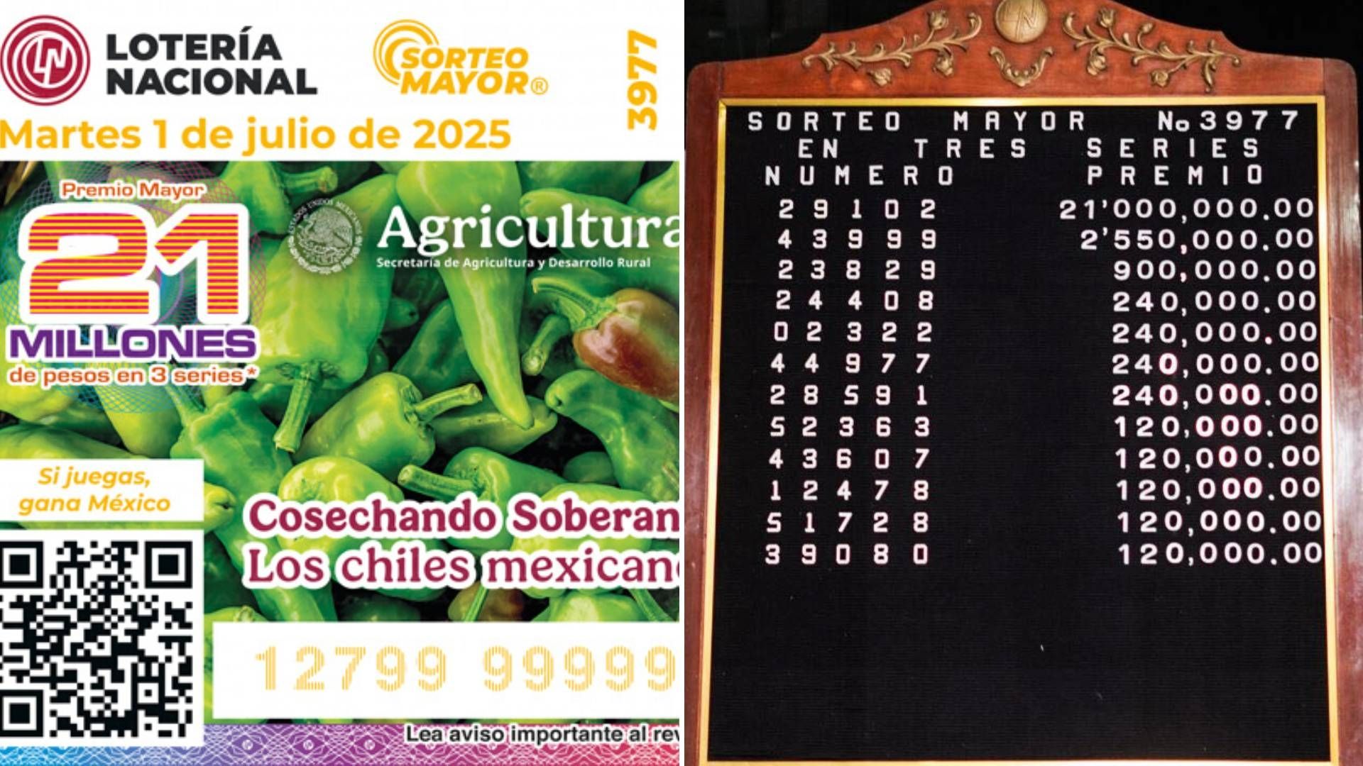 ¿Dónde Cayó Premio Mayor? Mascarilla de Lotería Nacional del Sorteo Mayor 3977 del 1 de Julio 2025