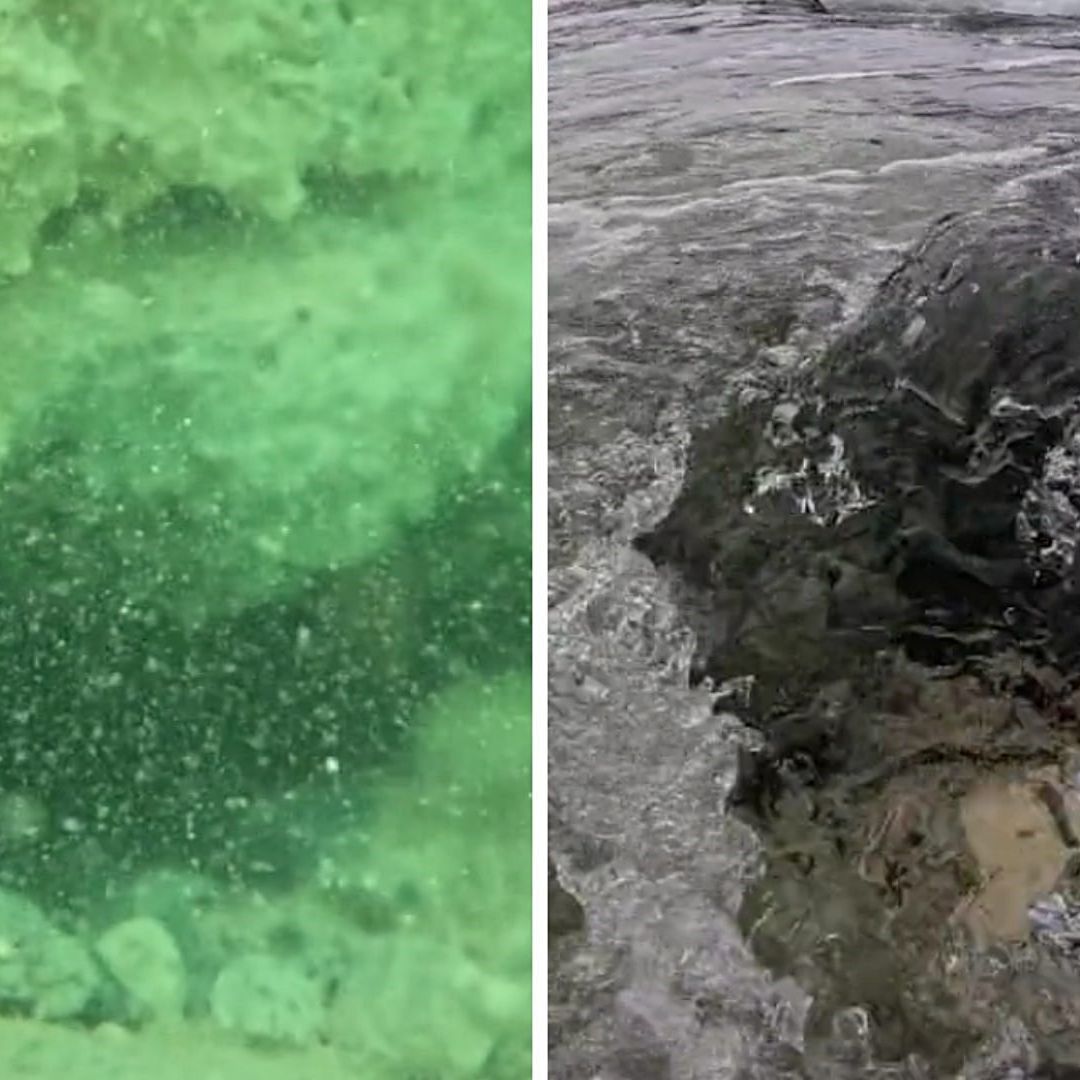Video | Brotan Impresionantes Ojos de Agua en Playa del Carmen y Cozumel