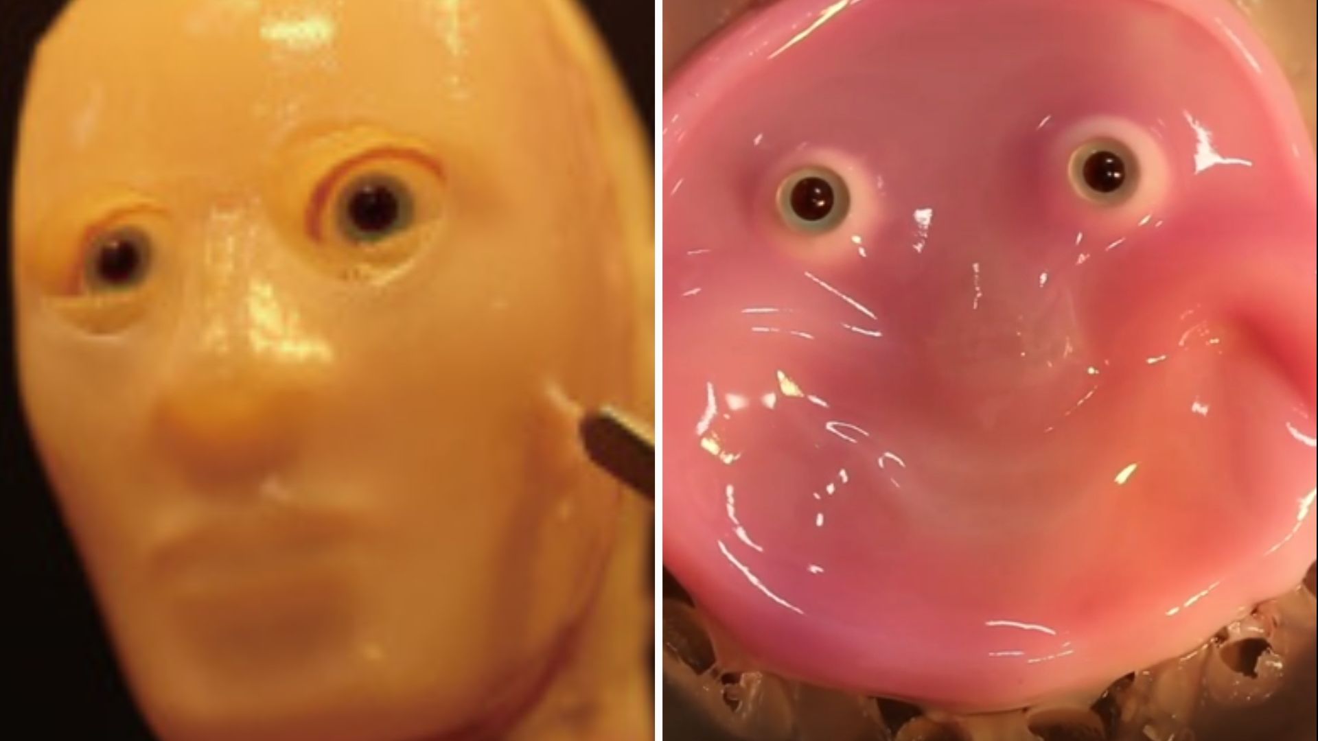 Científicos en Japón Crean Gel Equivalente a Piel Viva  para que Sonrían Robots