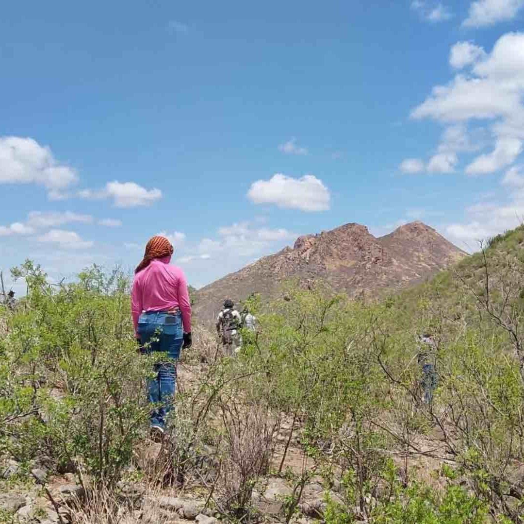 Localizan 3 Cuerpos en Estado de Descomposición en Poblado Miguel Alemán, Hermosillo