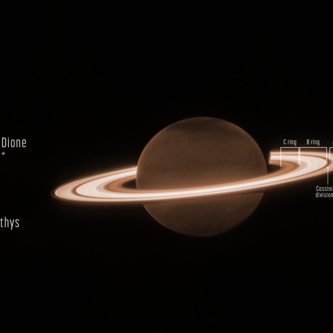 Otros tres planetas también tienen anillos.