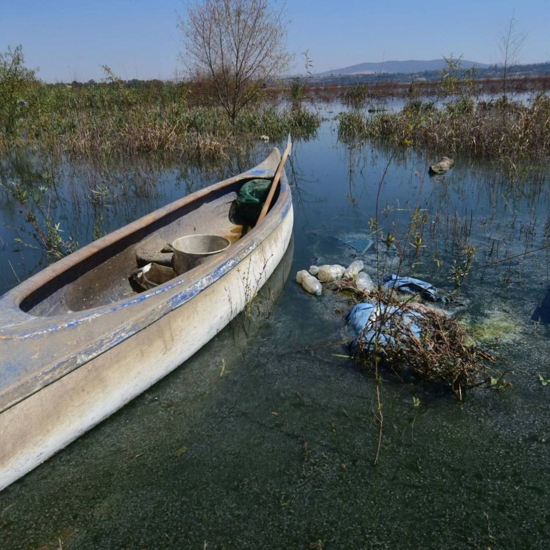 Así se Vivió el Foro para la Restauración Ecológica de la Presa Endhó, en Hidalgo
